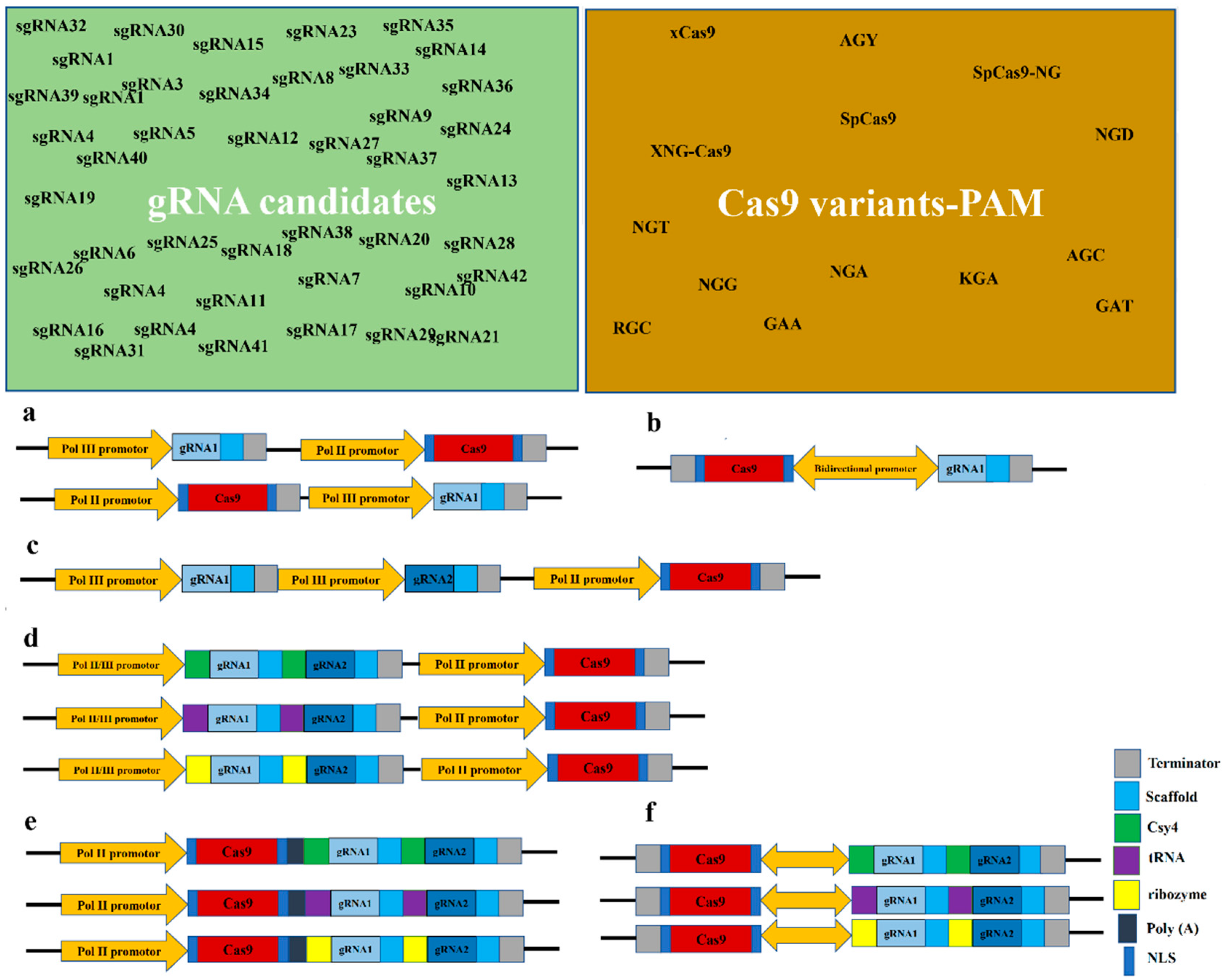 Plants 11 01044 g002