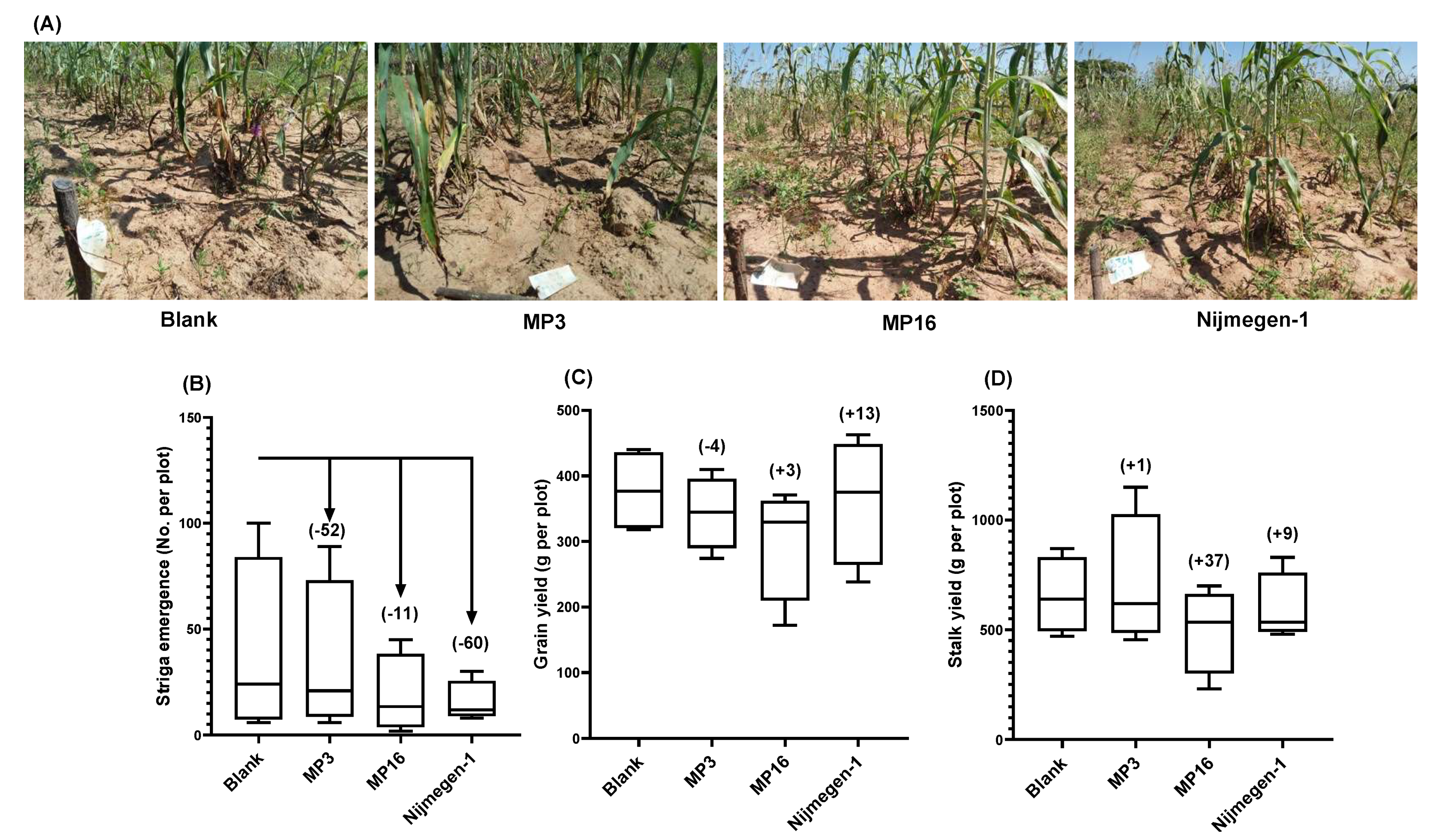 Plants 11 01045 g005