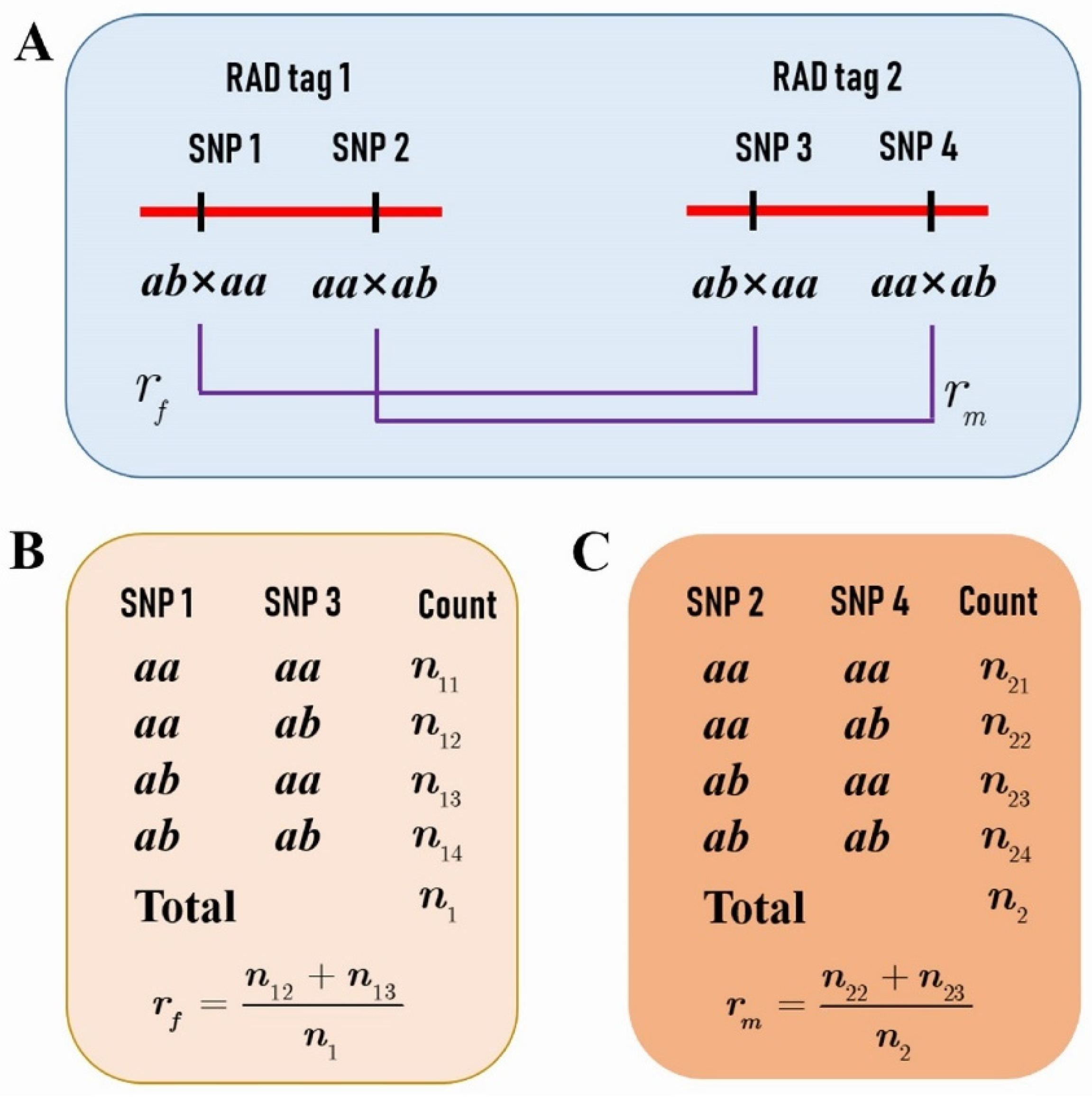 Plants 11 01046 g001 Plants 11 01046 g001