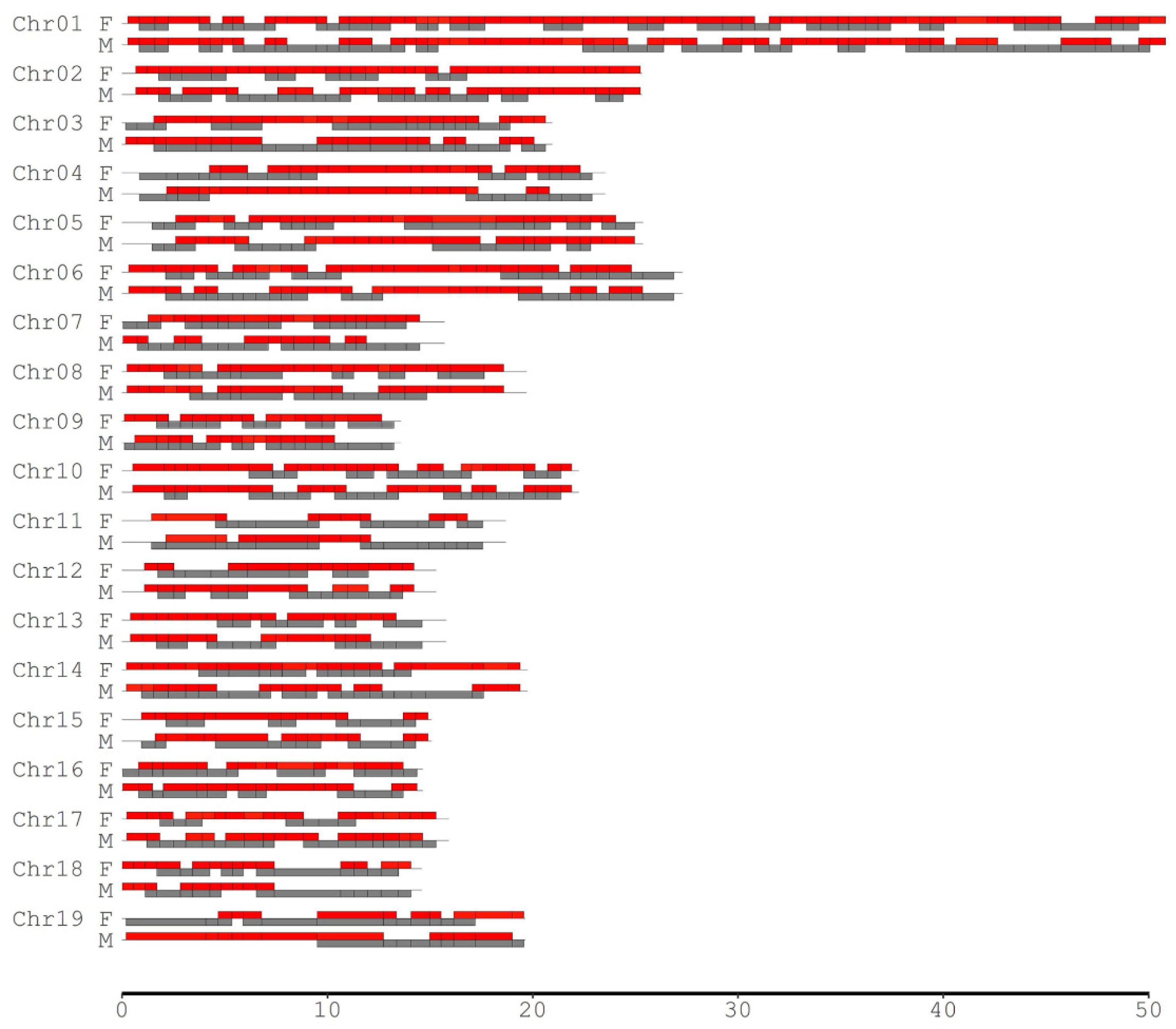 Plants 11 01046 g003 Plants 11 01046 g003