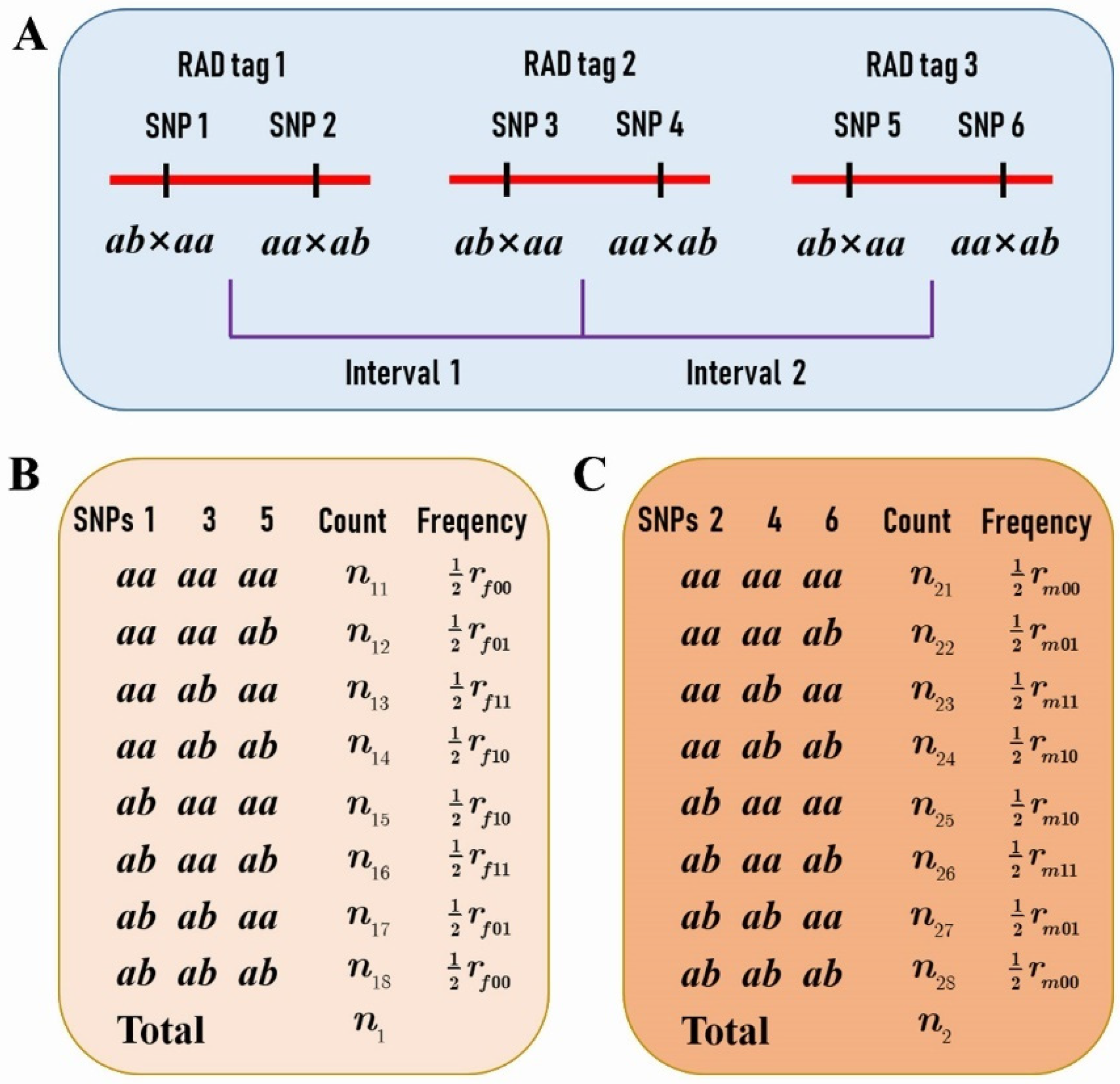 Plants 11 01046 g005 Plants 11 01046 g005