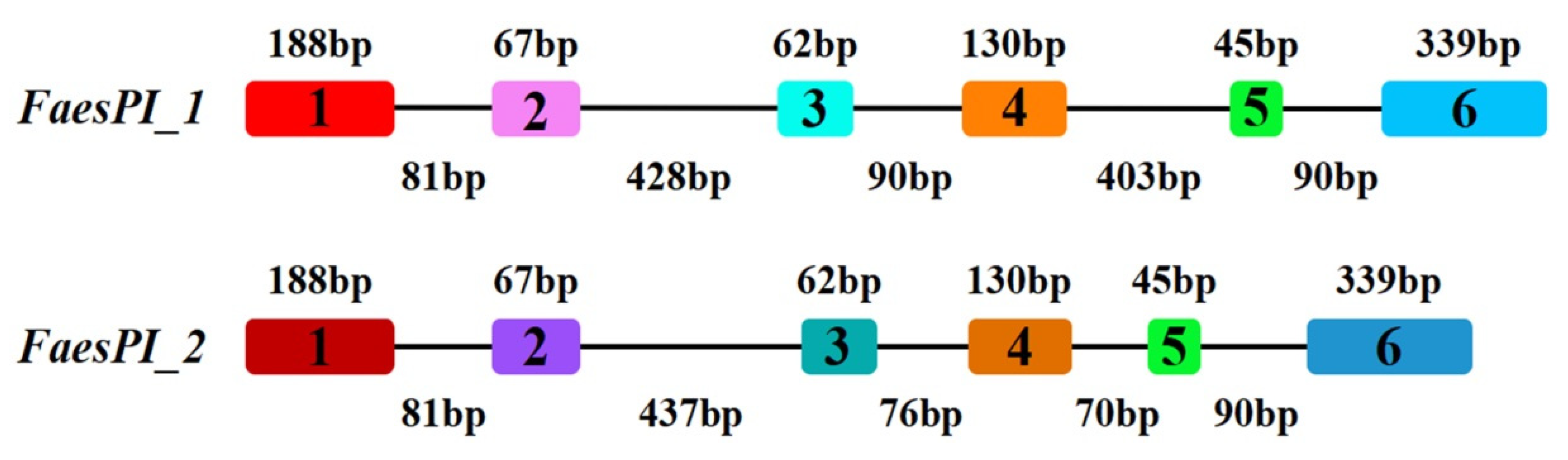 Plants 11 01047 g001 Plants 11 01047 g001