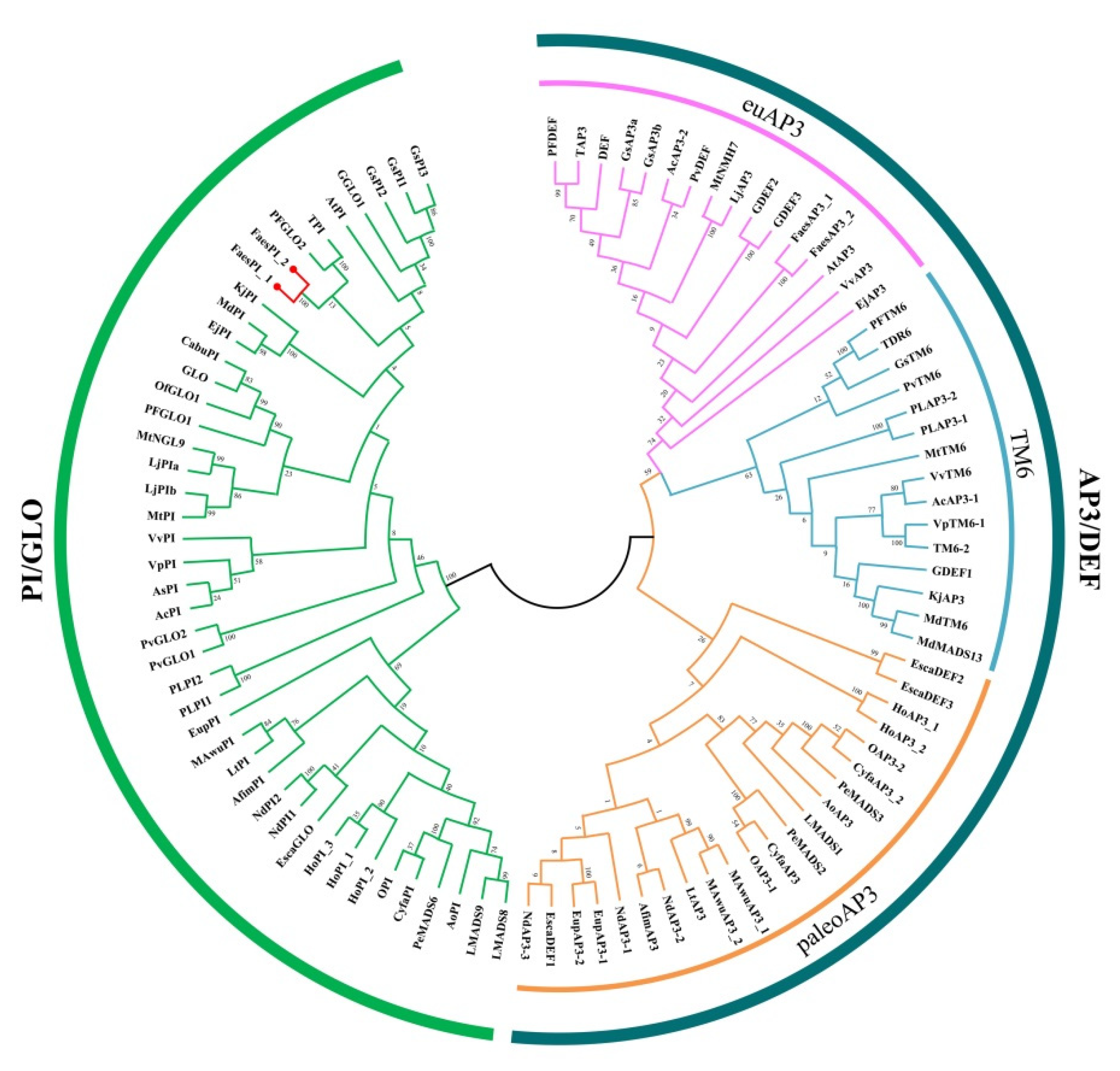 Plants 11 01047 g002 Plants 11 01047 g002