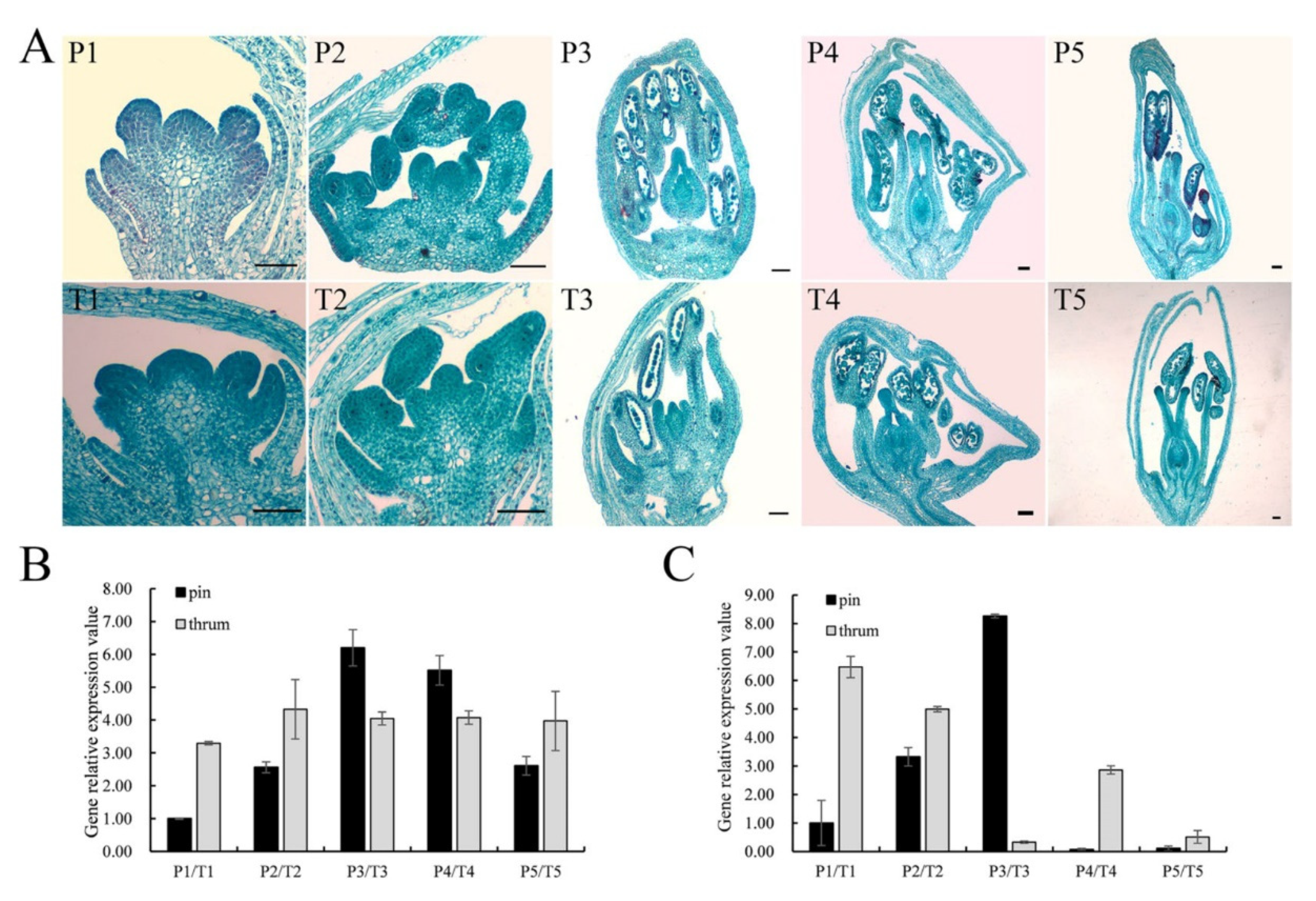 Plants 11 01047 g005 Plants 11 01047 g005