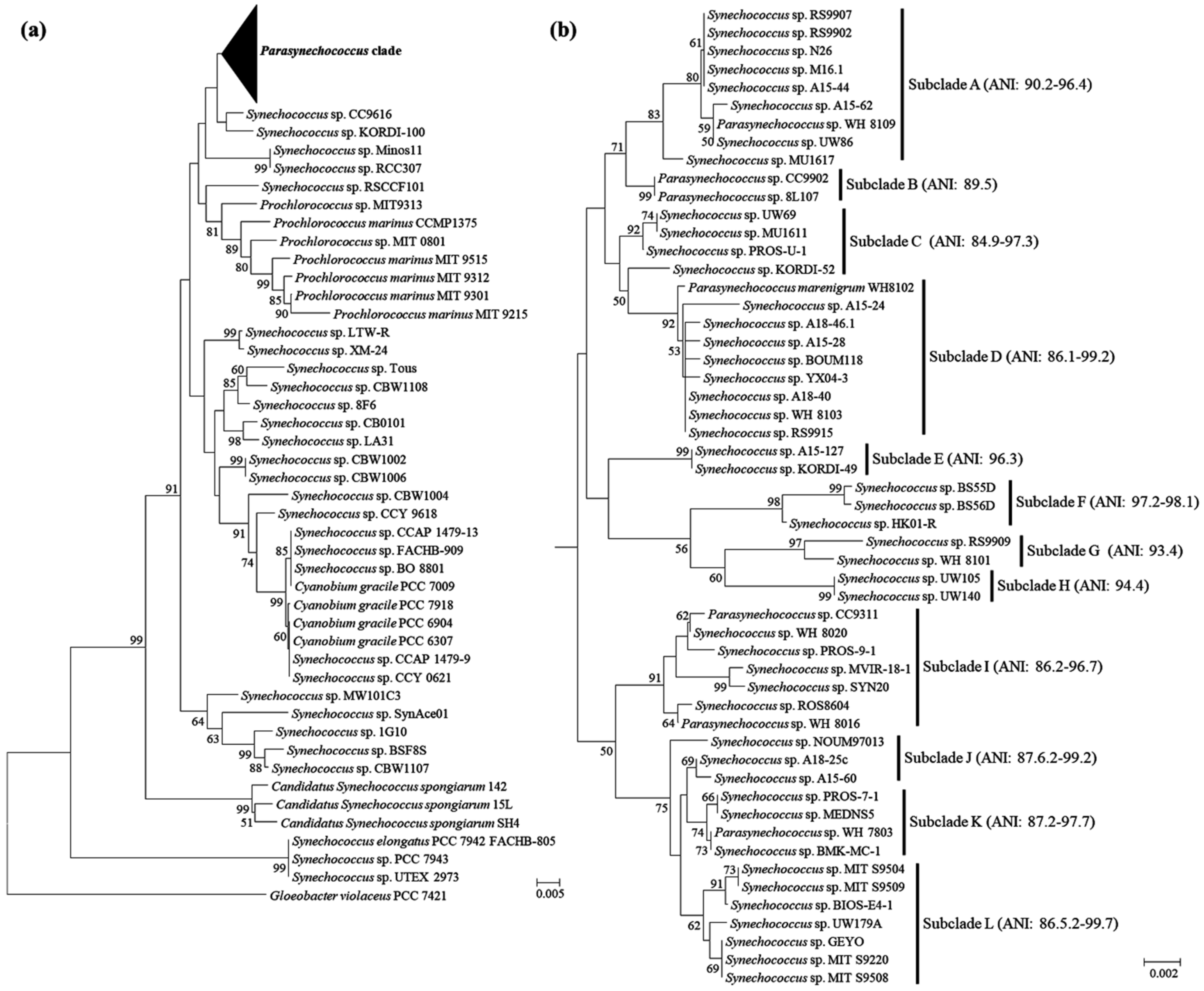 Plants 11 01060 g001 550