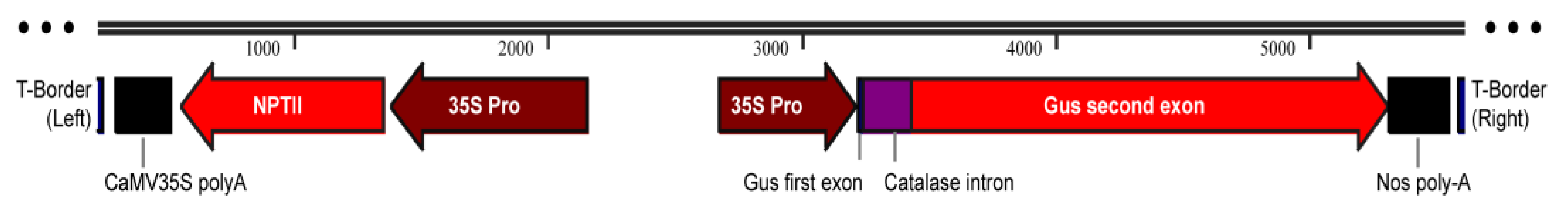 Plants 11 01067 g007 550