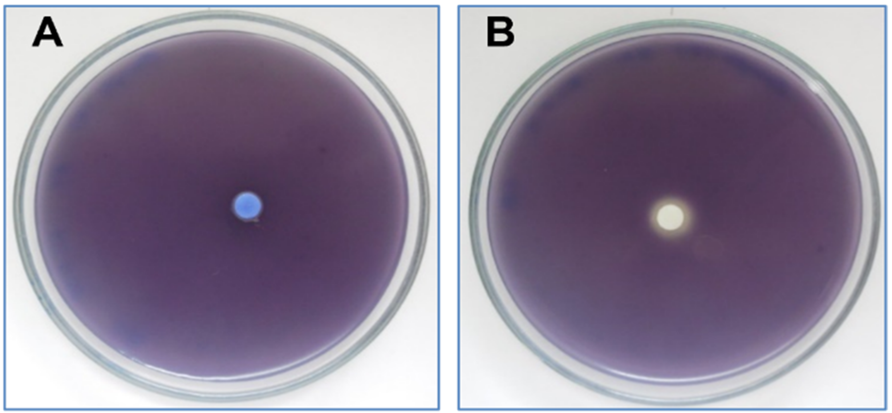 Plants 11 01072 g004