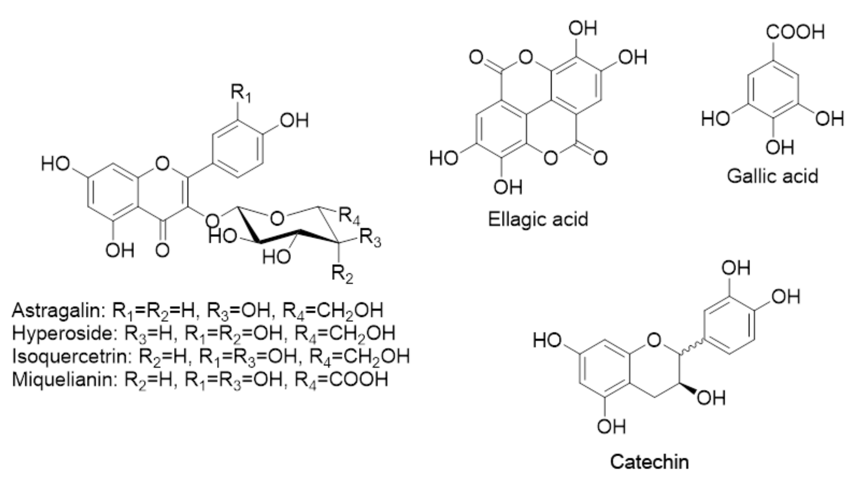 Plants 11 01073 g001 550
