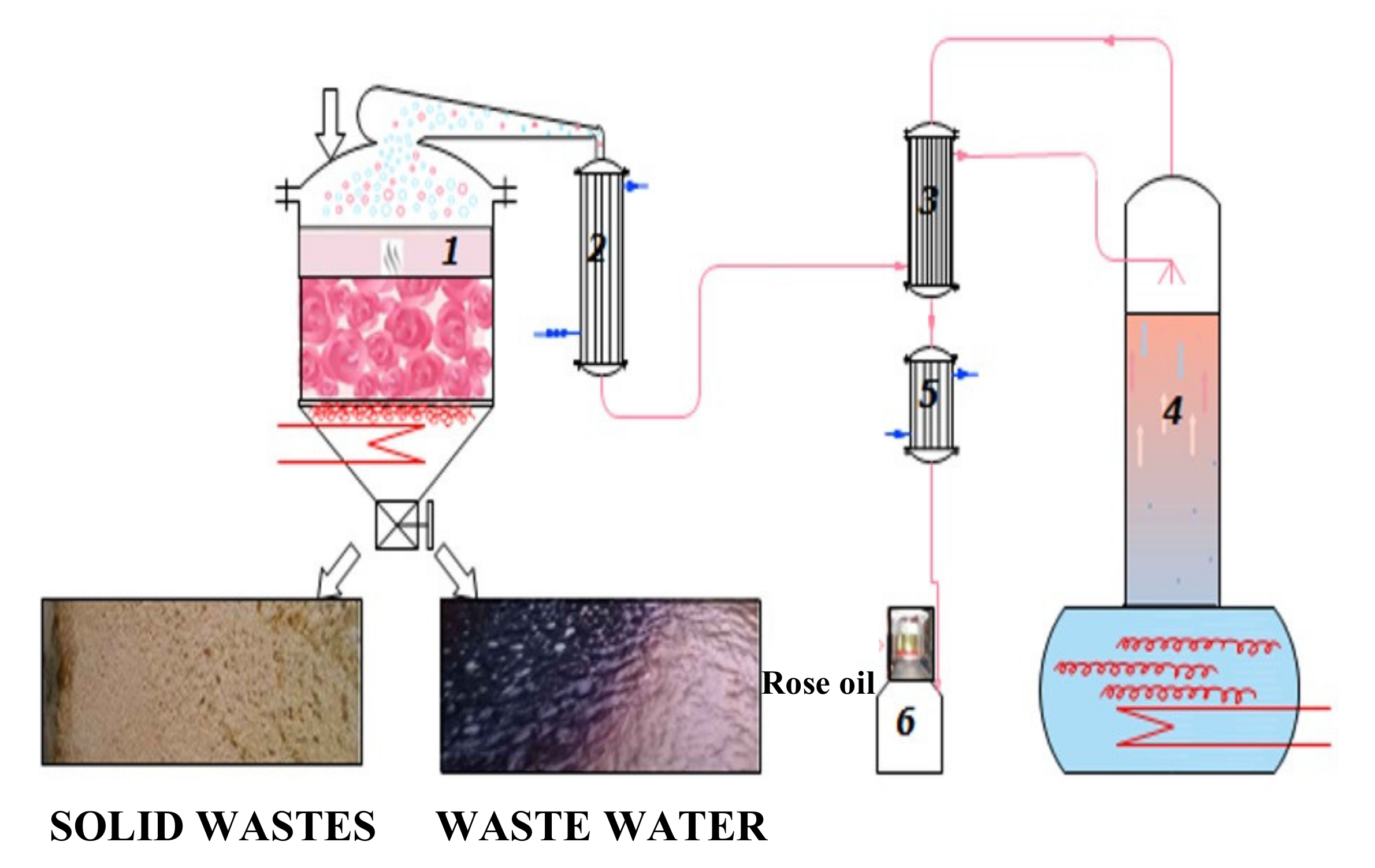 Plants 11 01073 sch001 550