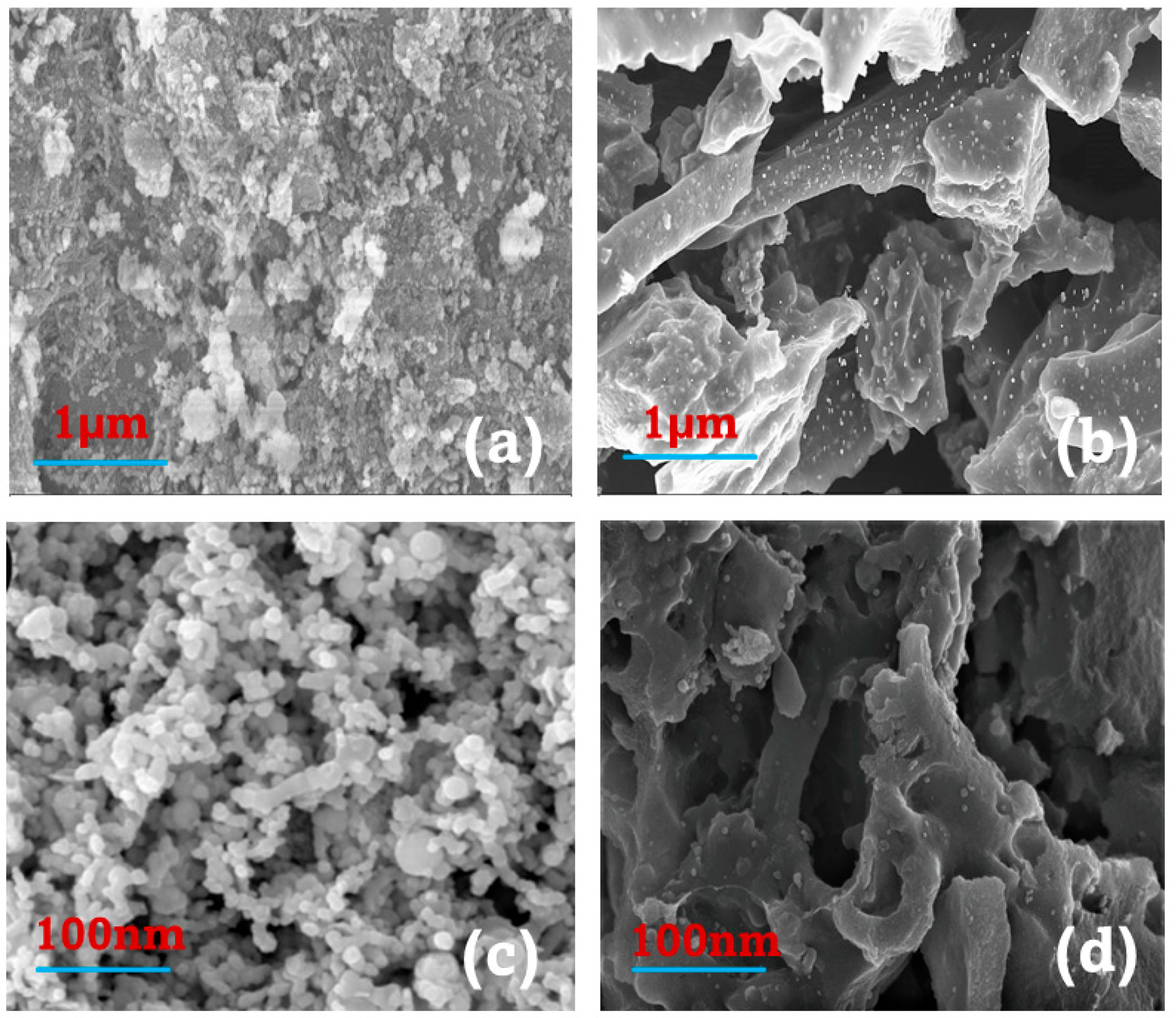 Plants 11 01074 g001 550