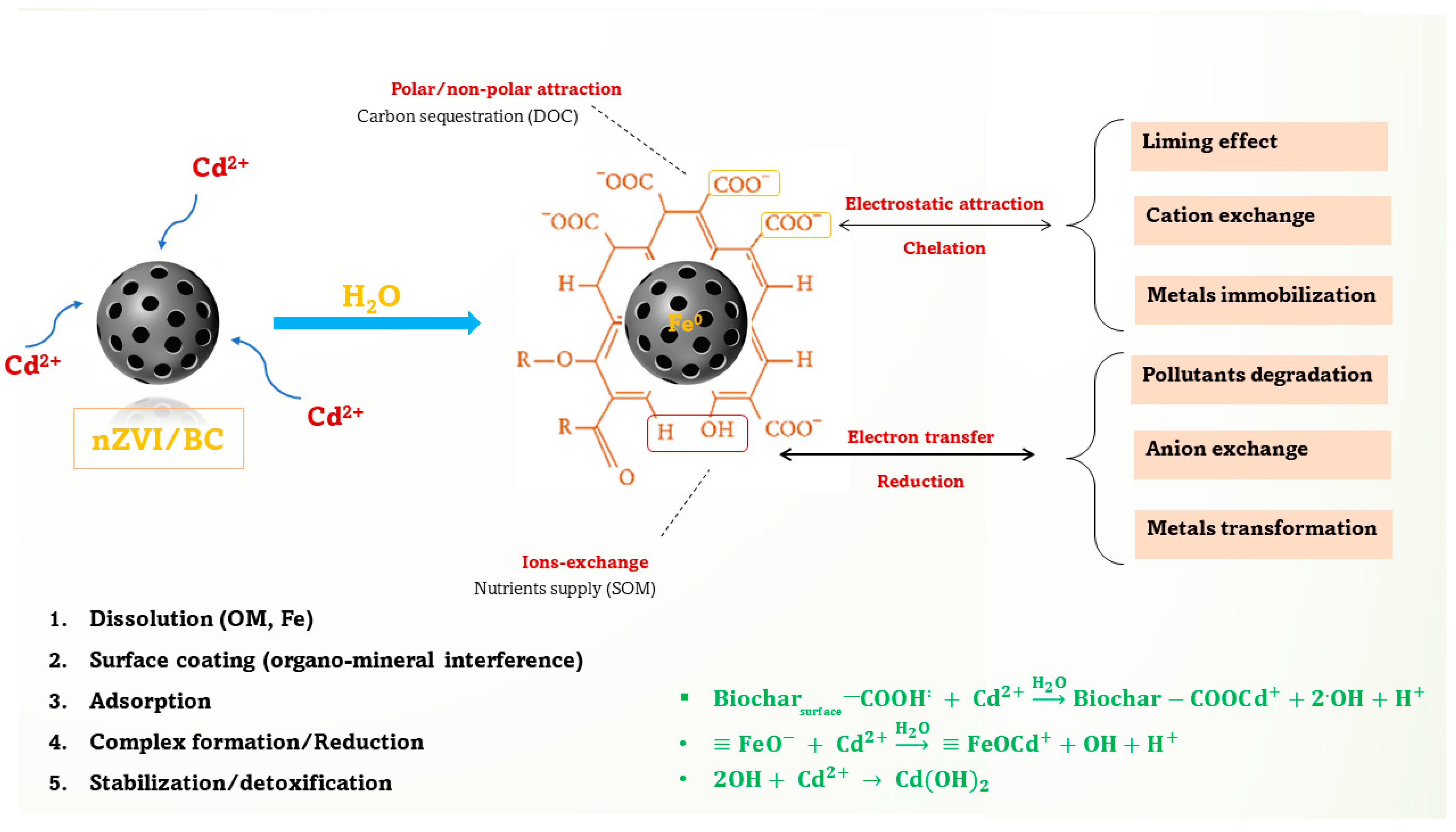 Plants 11 01074 g008 550
