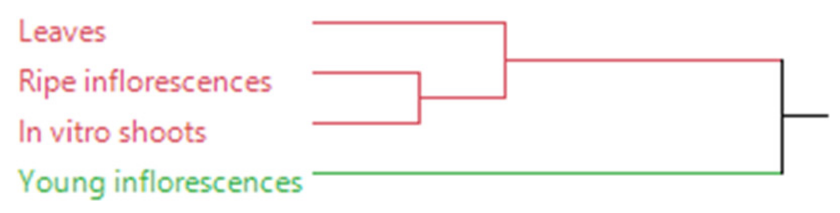 Plants 11 01081 g002 550