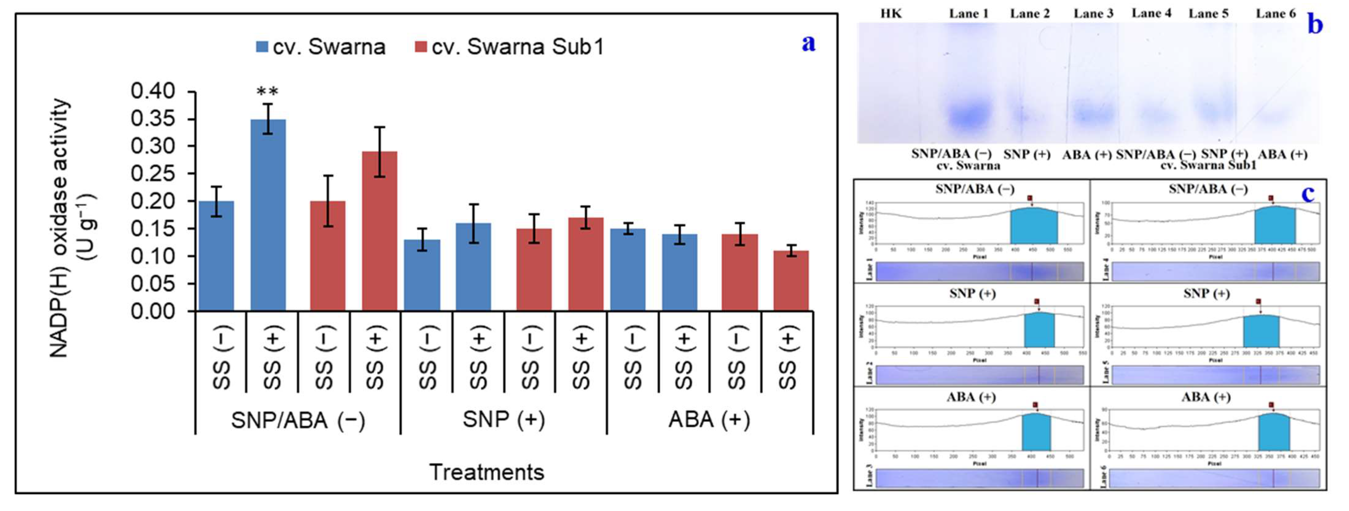 Plants 11 01084 g007 550