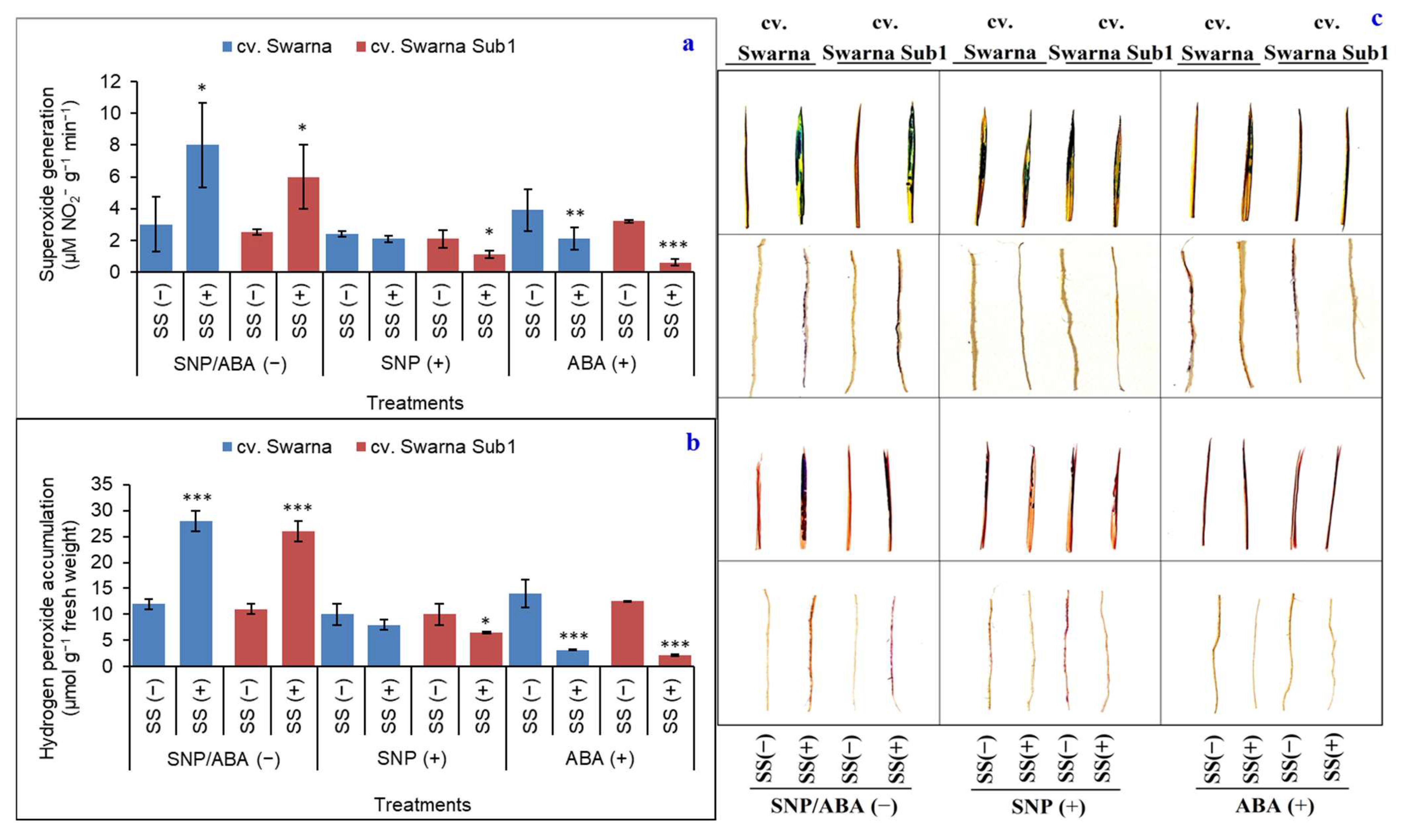 Plants 11 01084 g008 550