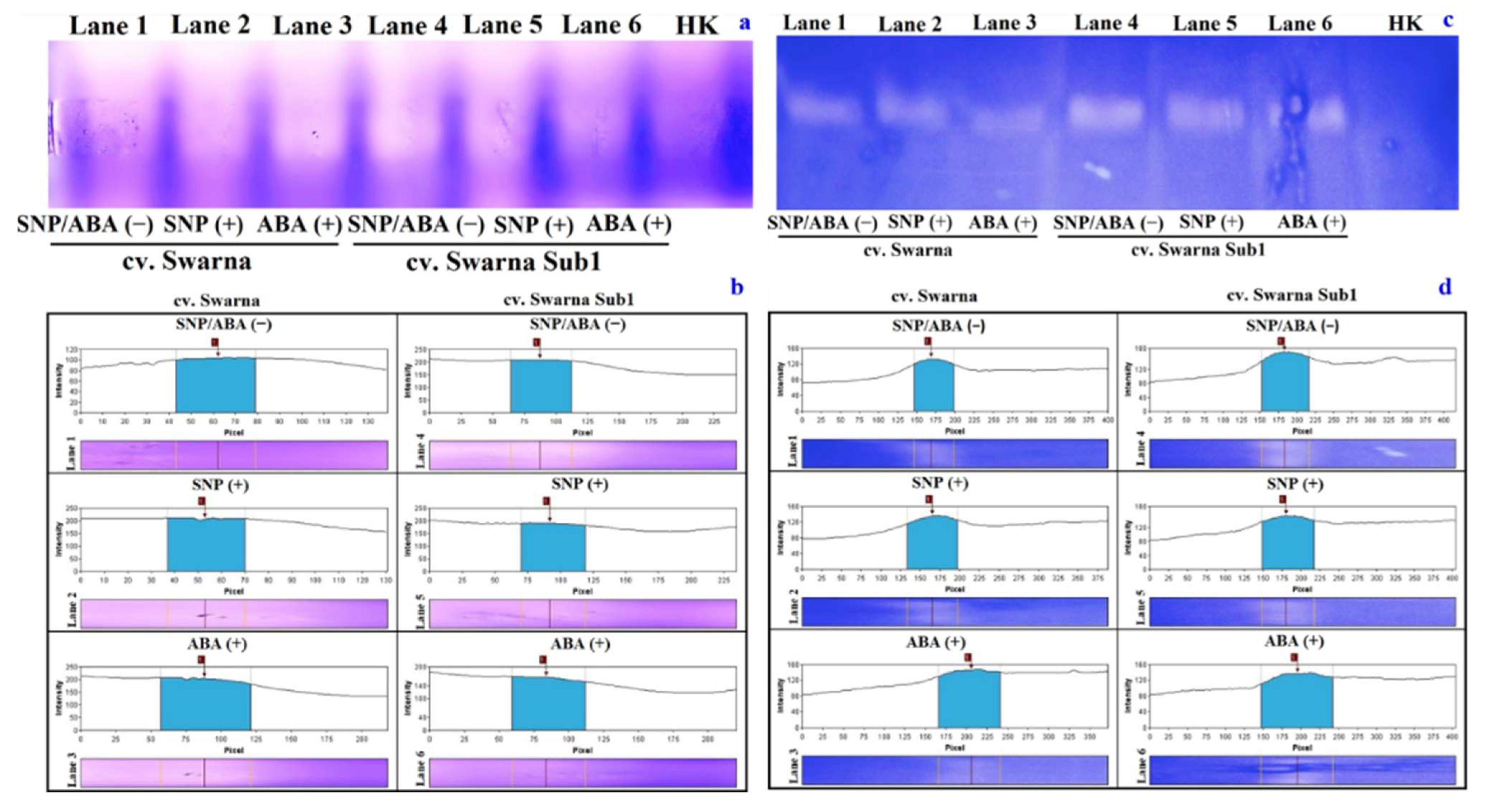 Plants 11 01084 g010 550