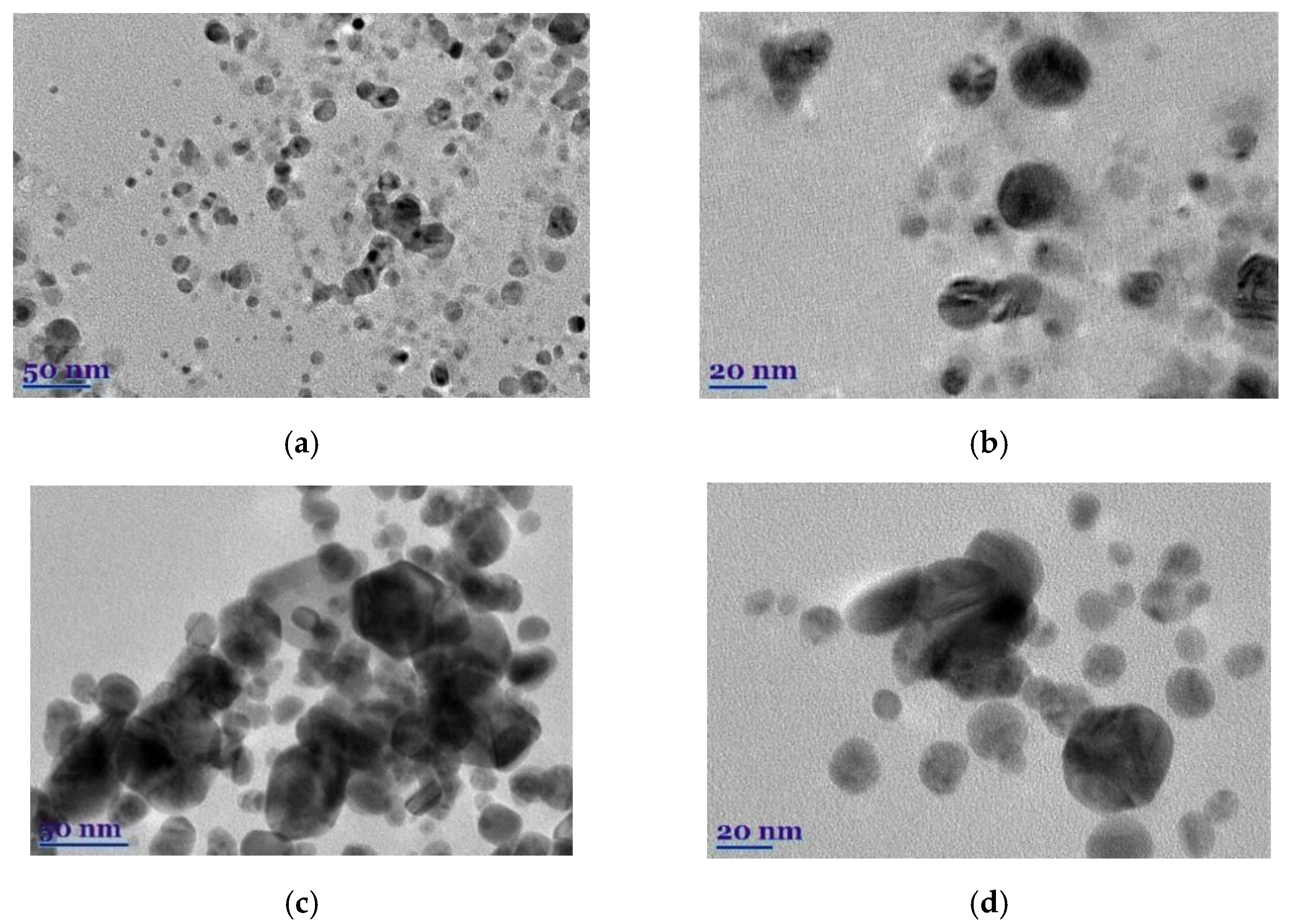 Plants 11 01085 g005a 550