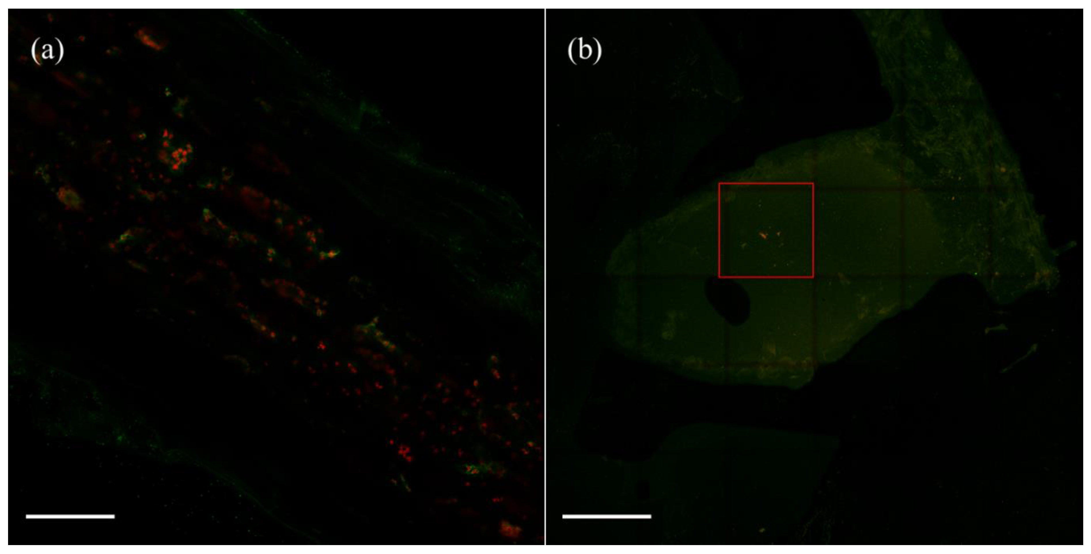 Plants 11 01091 g003