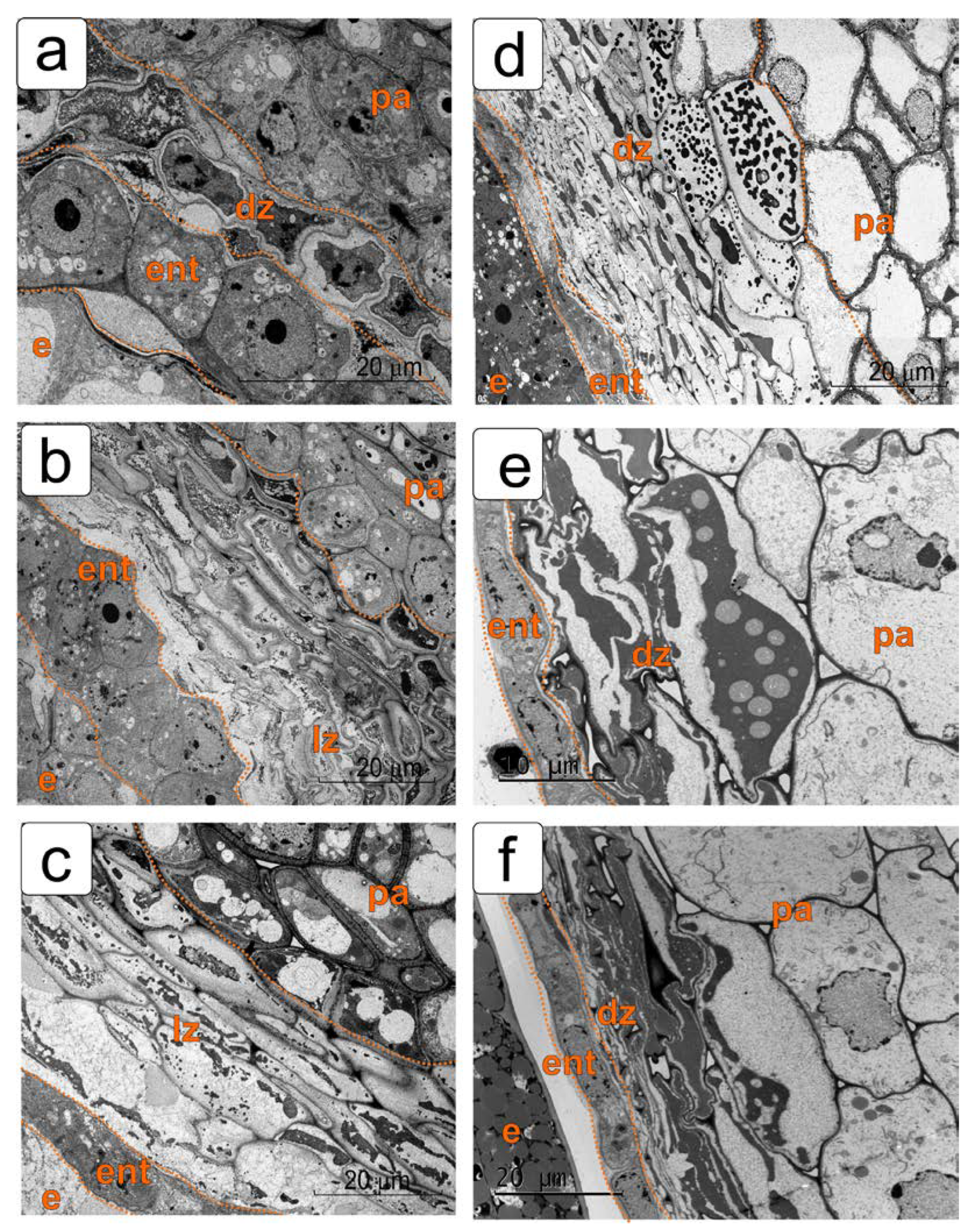 Plants 11 01101 g002