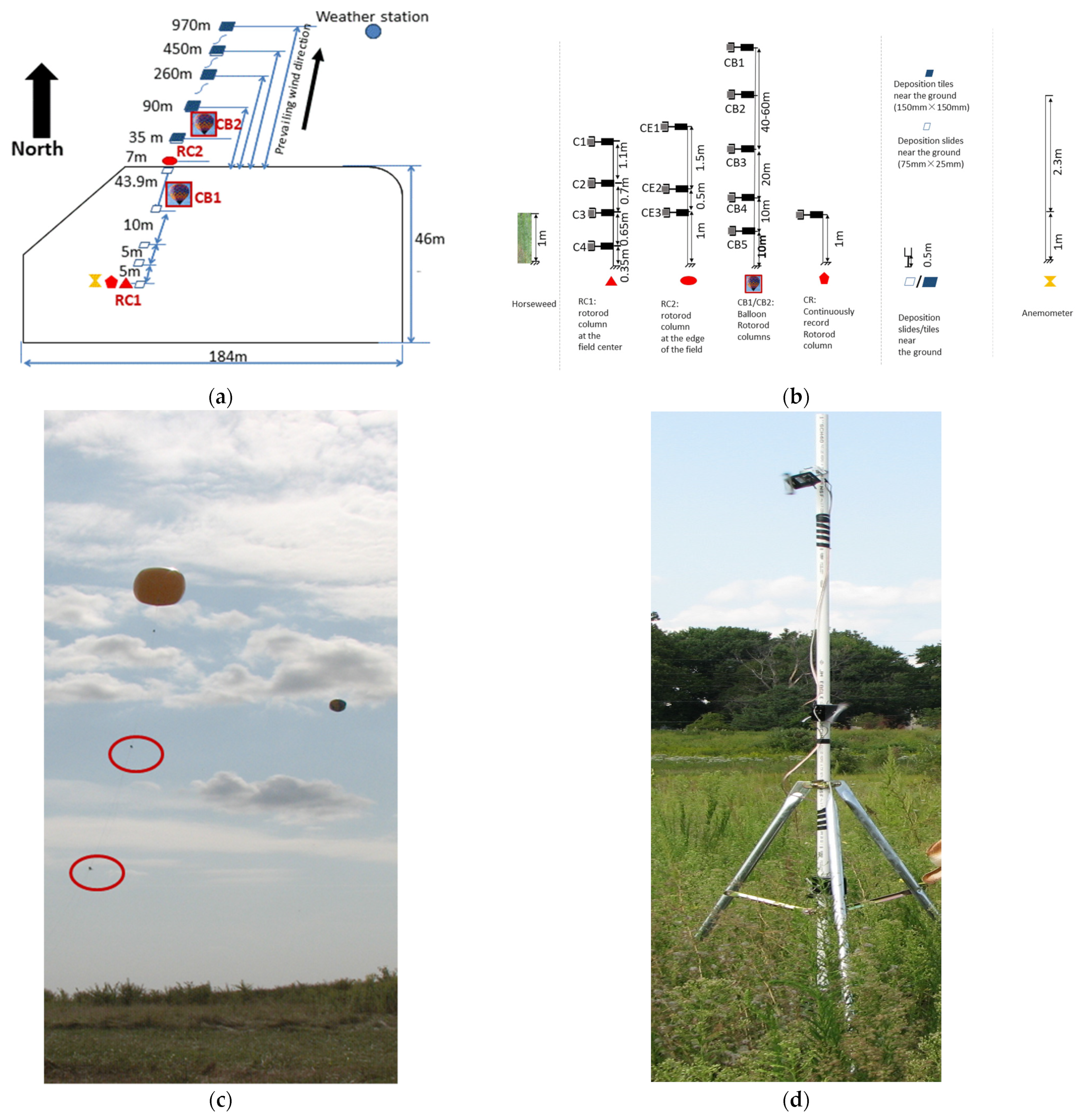 Plants 11 01102 g011