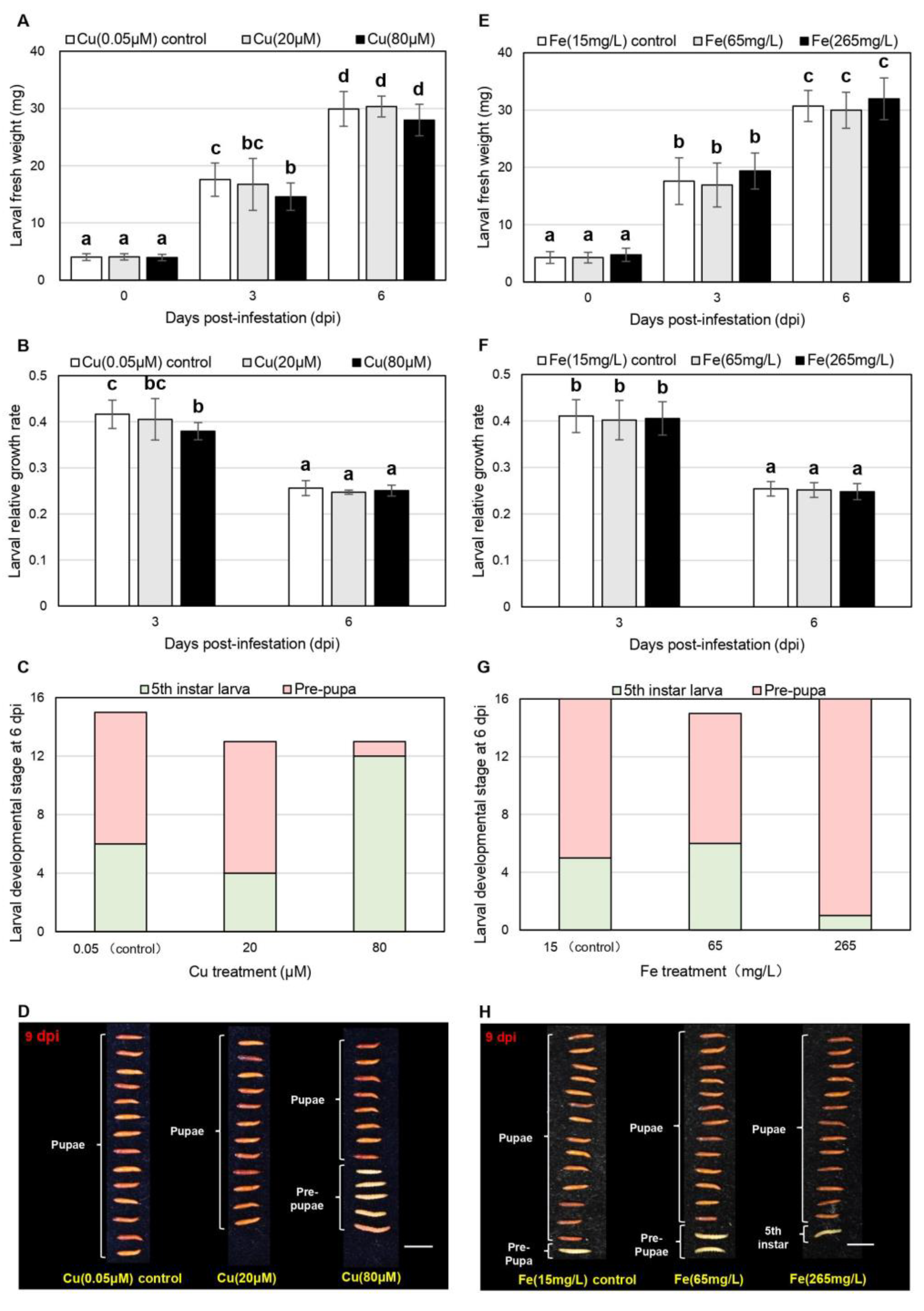 Characterization of hostplant innate immunity from Kharif-II rice cultivars  against rice leaf folder (Cnaphalocrocis medinalis Guen.) via in-situ  screening and physicochemical assays - ScienceDirect