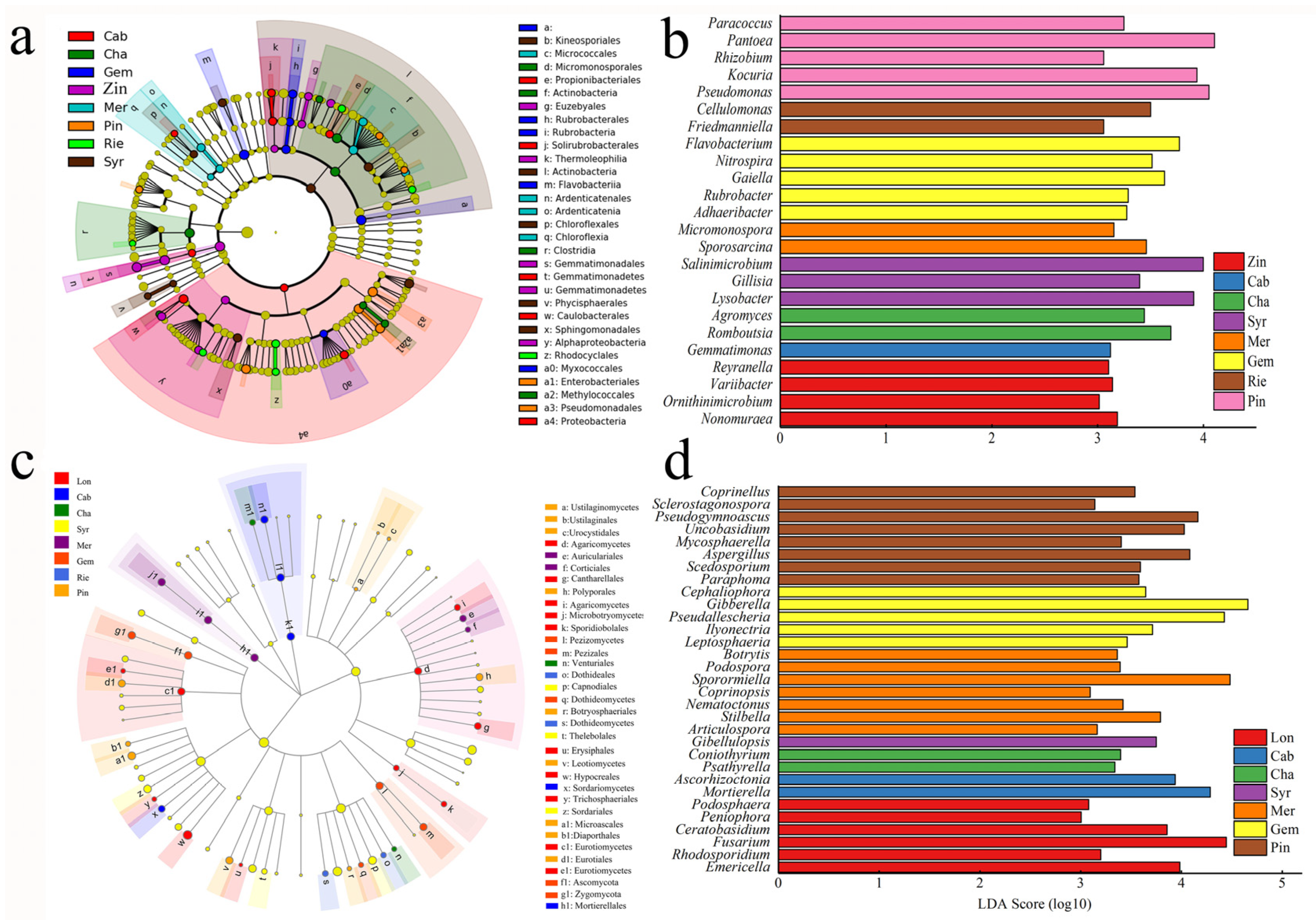 Plants 11 01111 g004