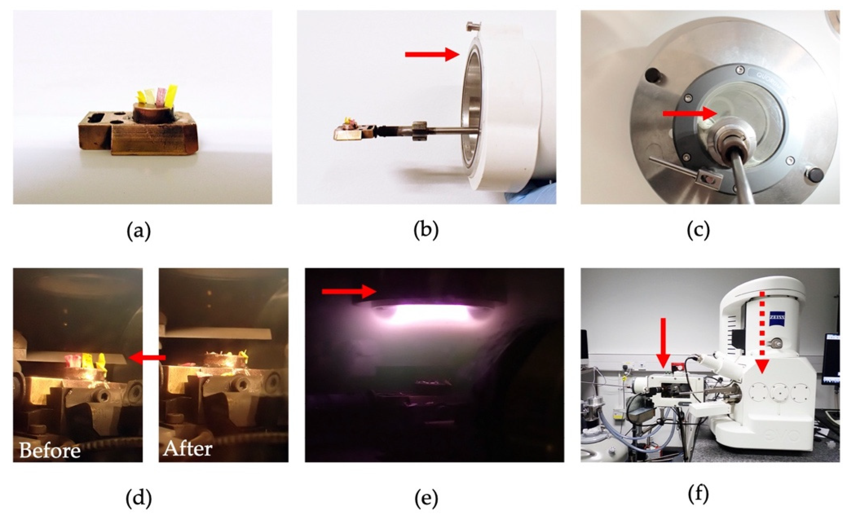 Plants 11 01113 g002 Plants 11 01113 g002