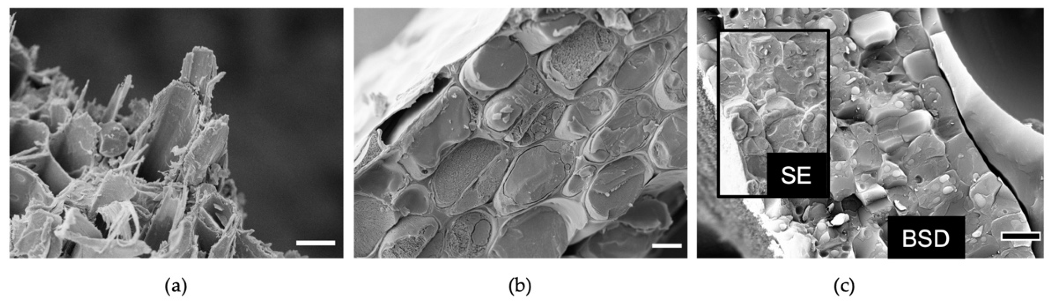 Plants 11 01113 g003 Plants 11 01113 g003