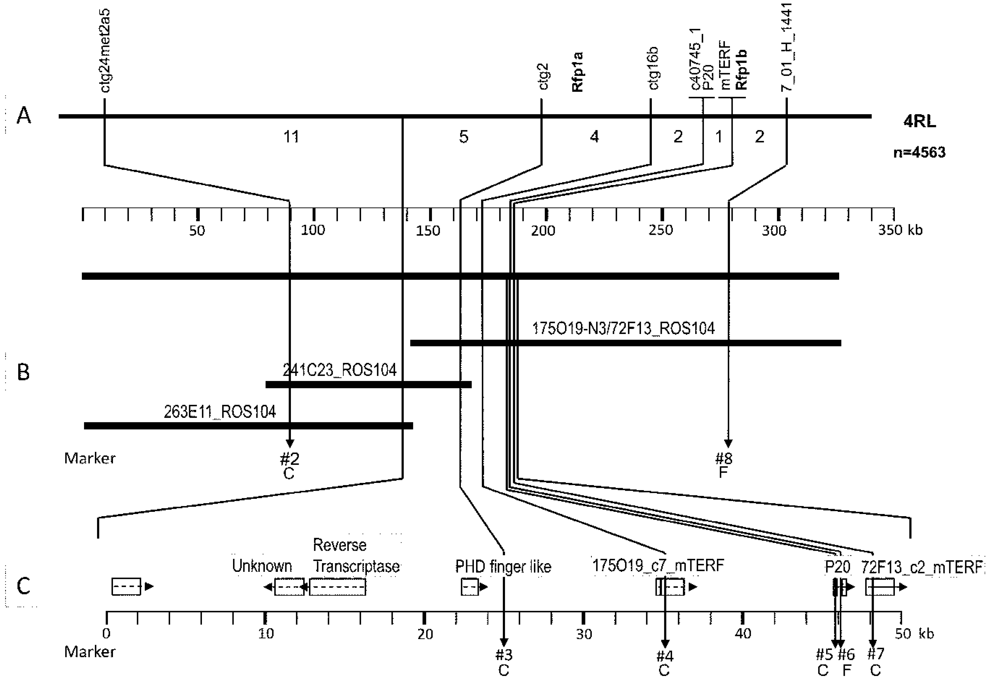 Plants 11 01115 g005