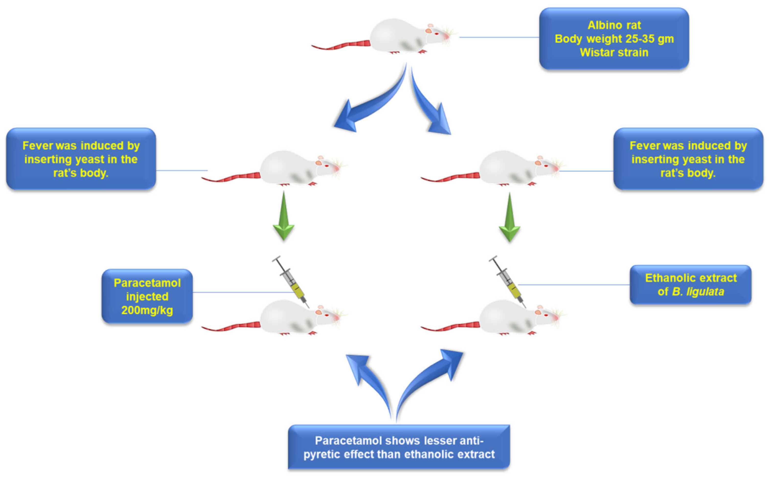 Plants 11 01129 g005