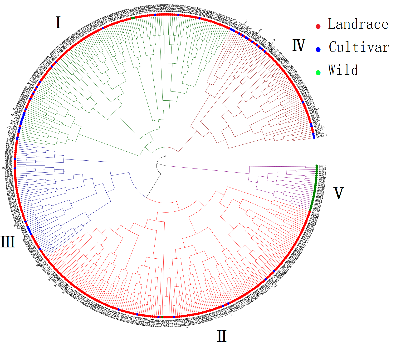 Plants 11 01132 g005 Plants 11 01132 g005