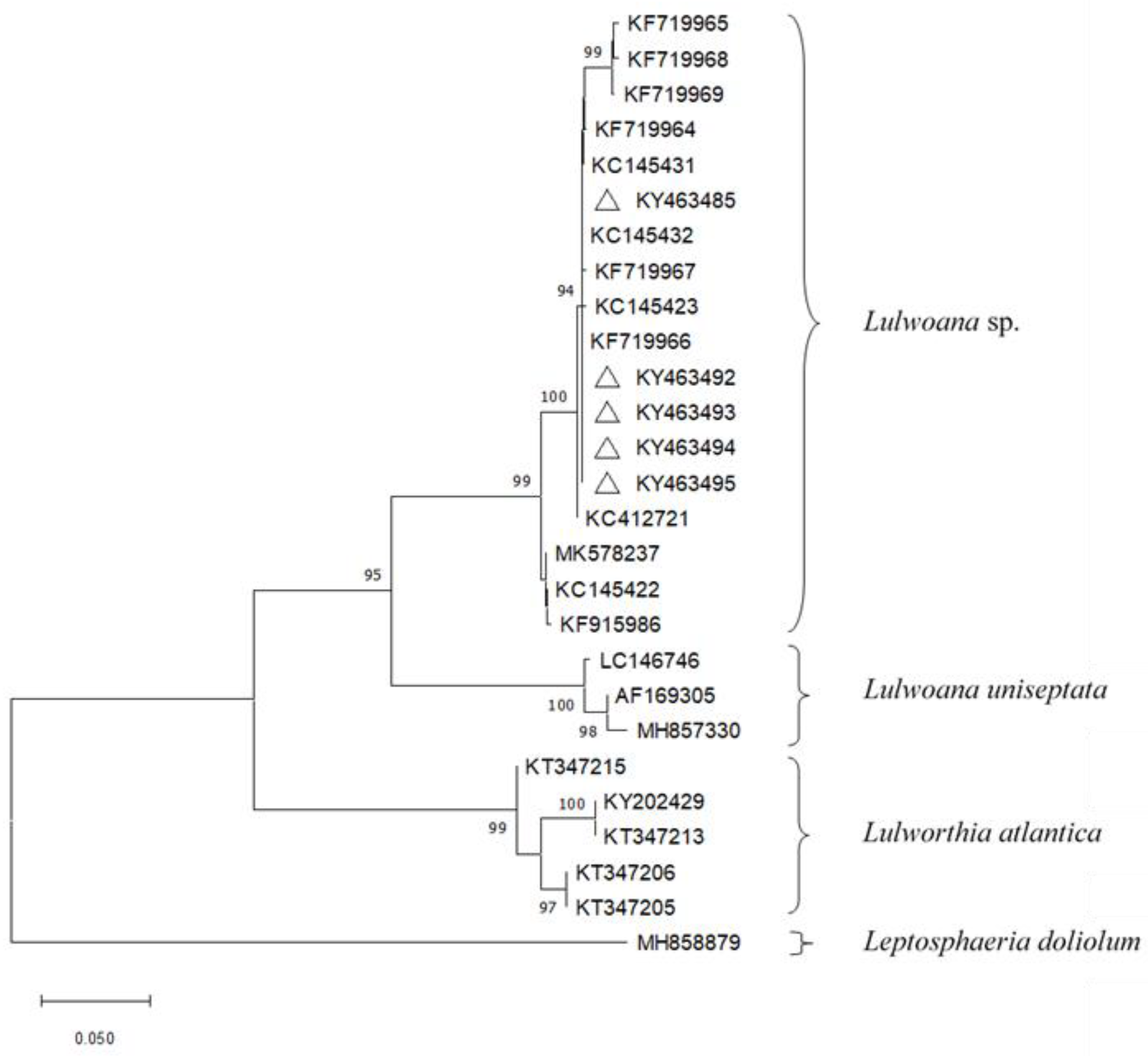Plants 11 01139 g001 550