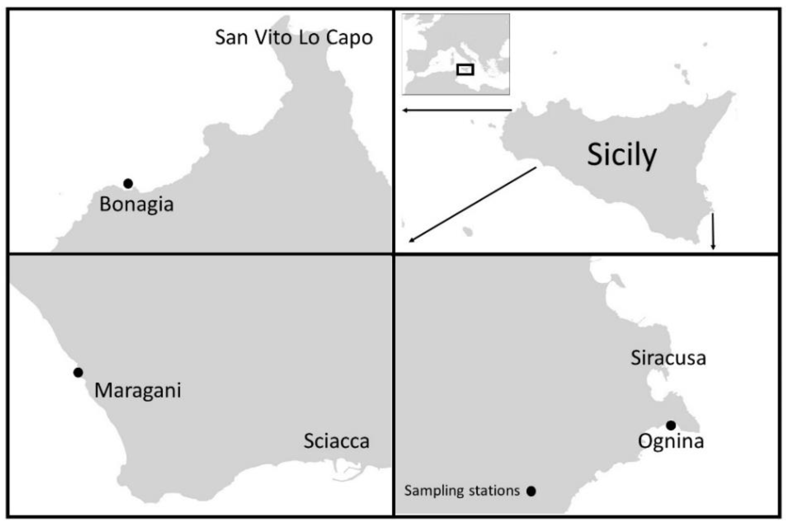 Plants 11 01139 g006 550