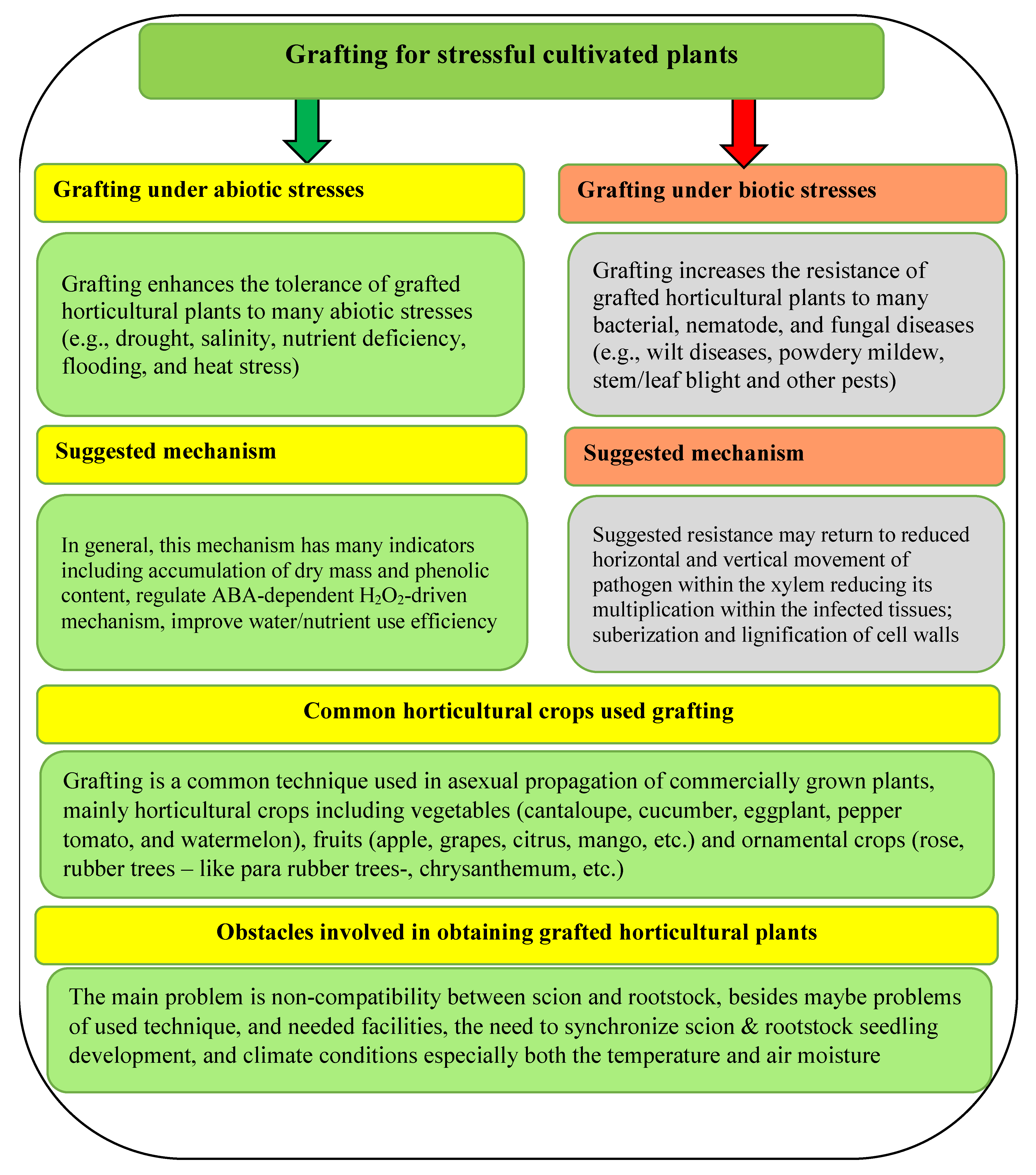 Plants 11 01147 g005 550