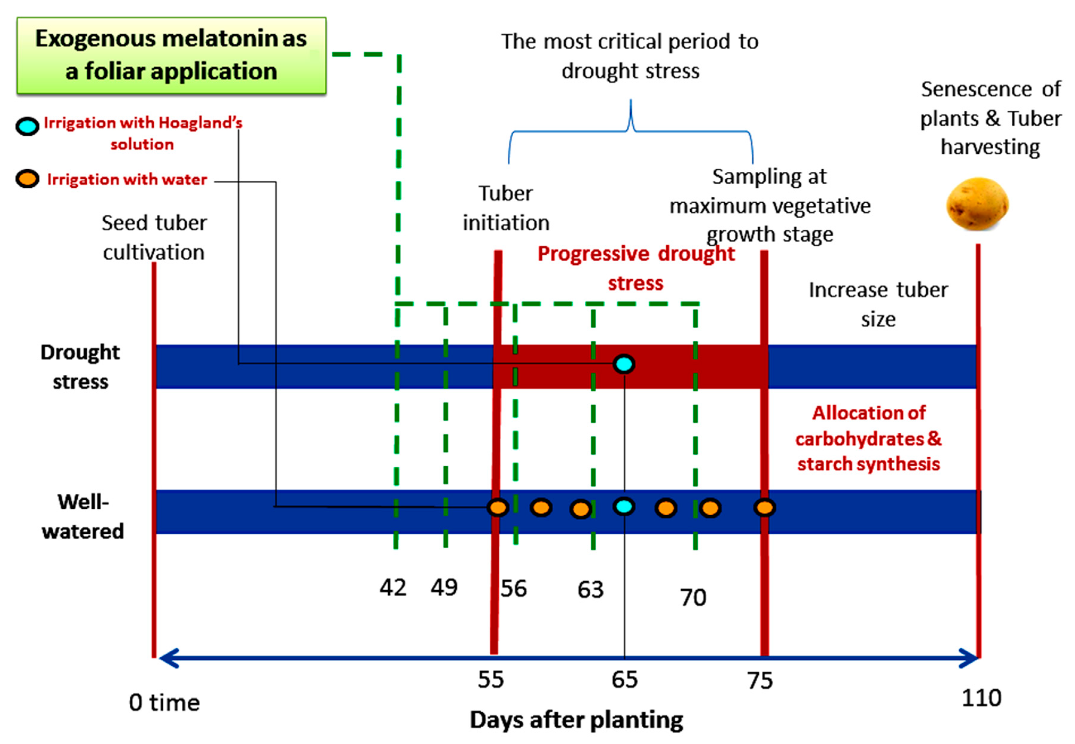 Plants 11 01151 g007 550