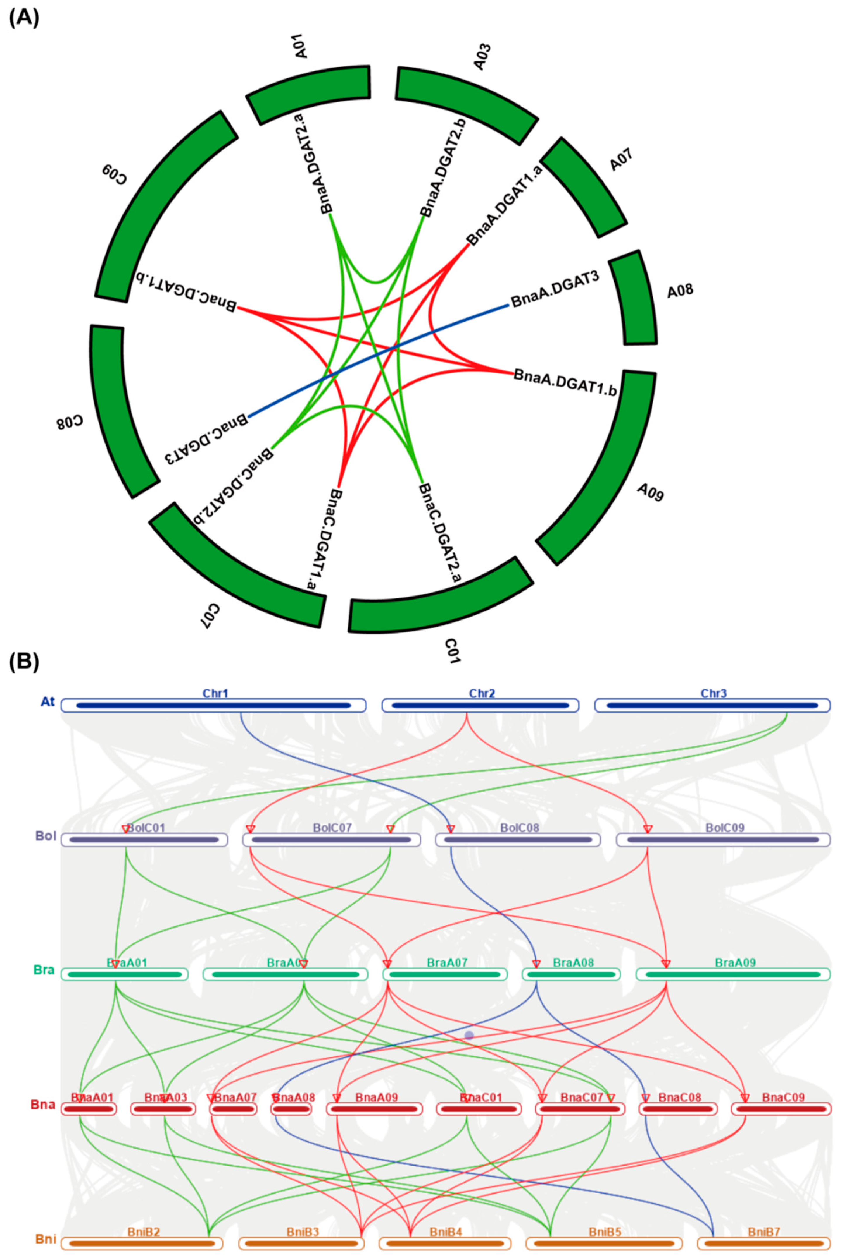 Plants 11 01156 g001 550