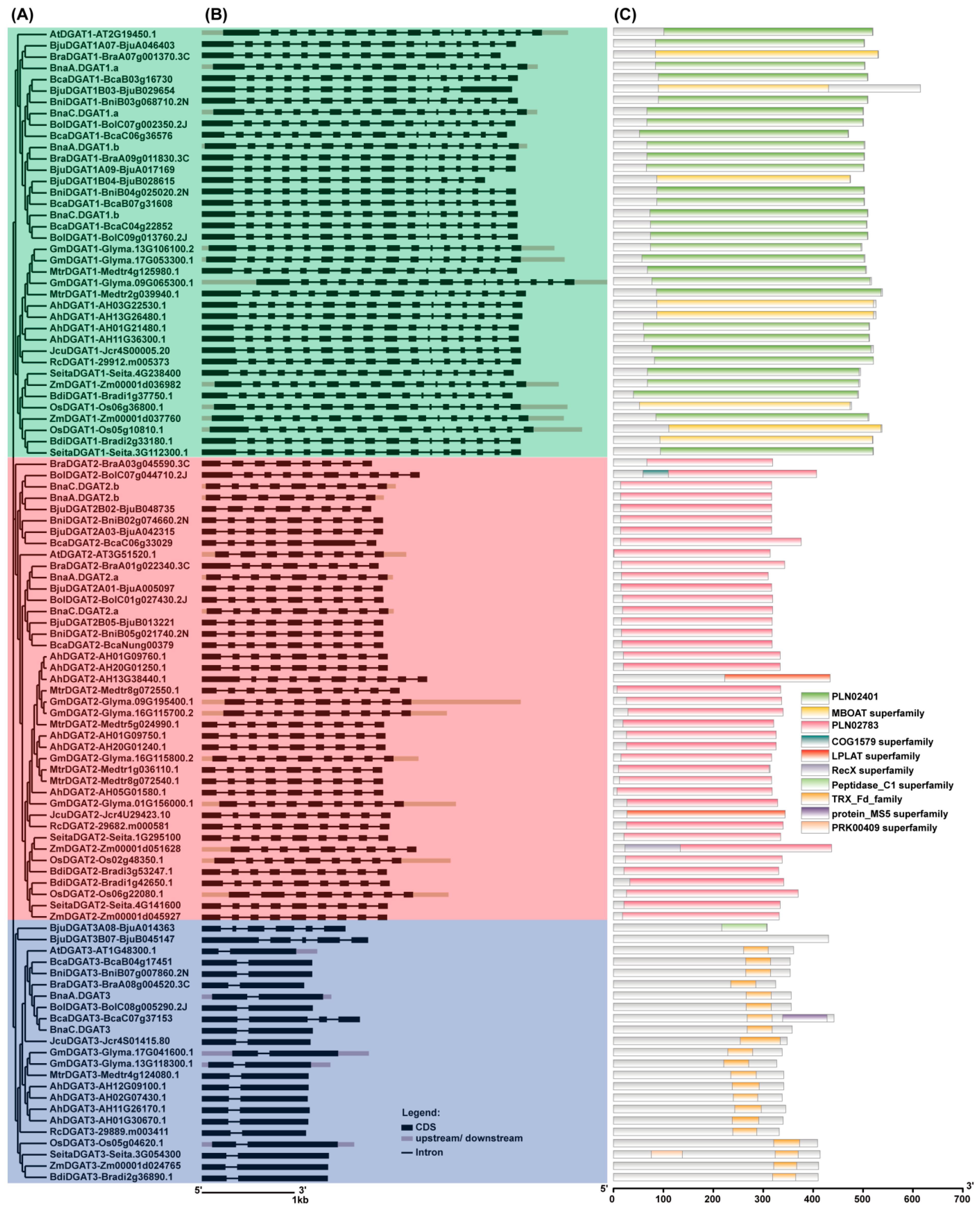 Plants 11 01156 g002 550