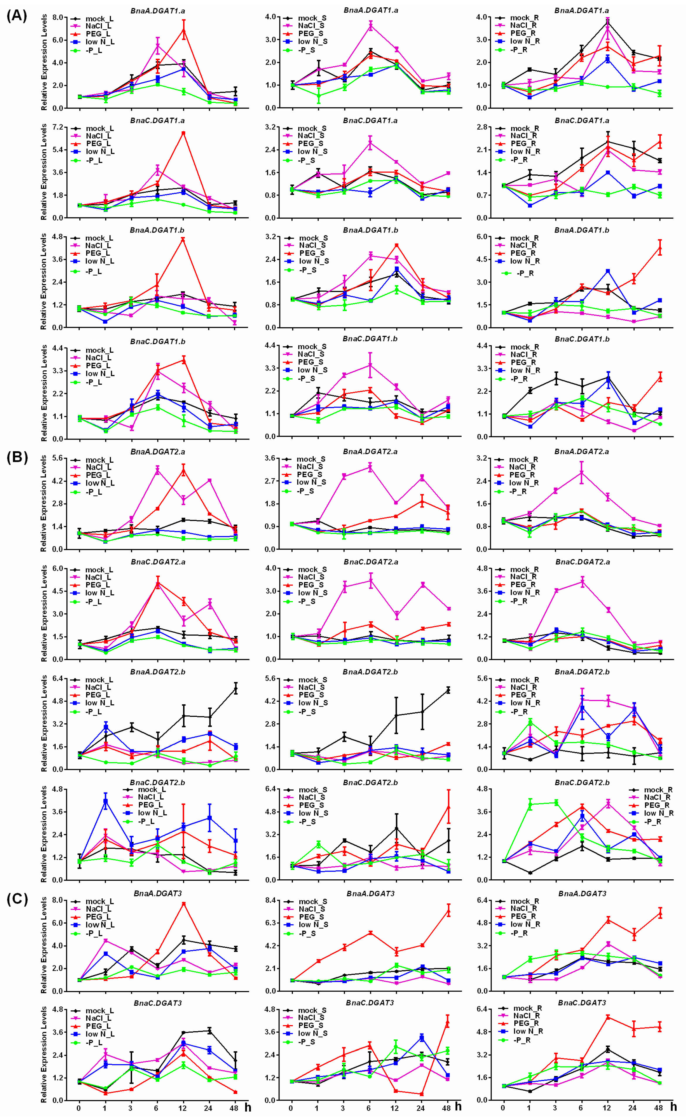 Plants 11 01156 g007 550