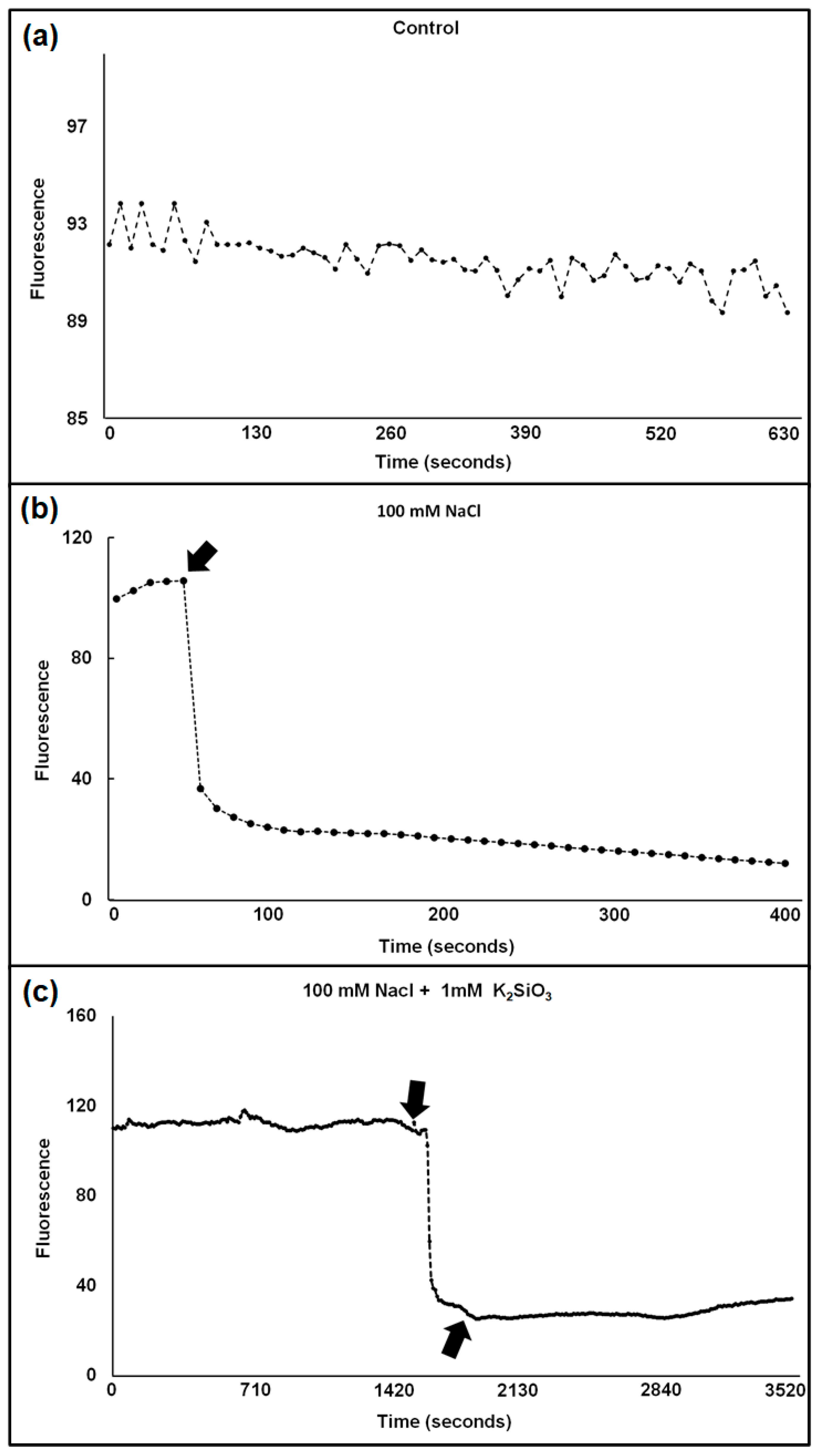 Plants 11 01162 g001 550