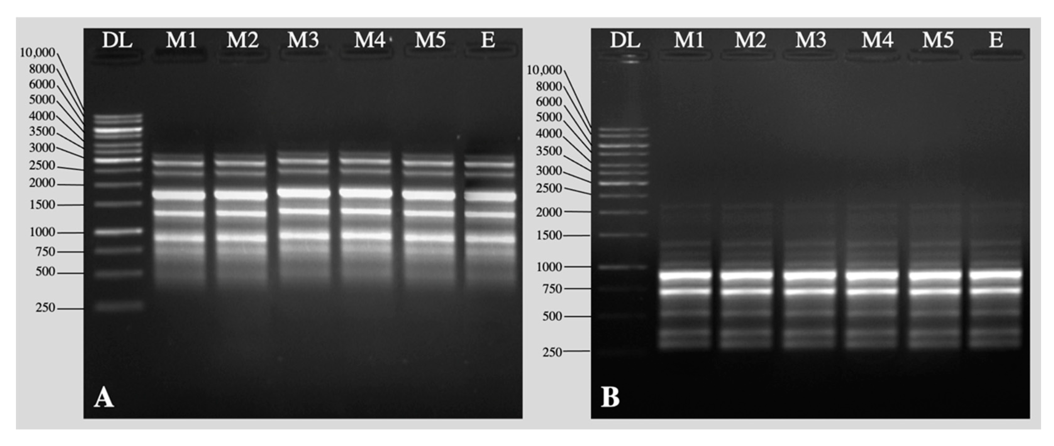 Plants 11 01163 g005 550