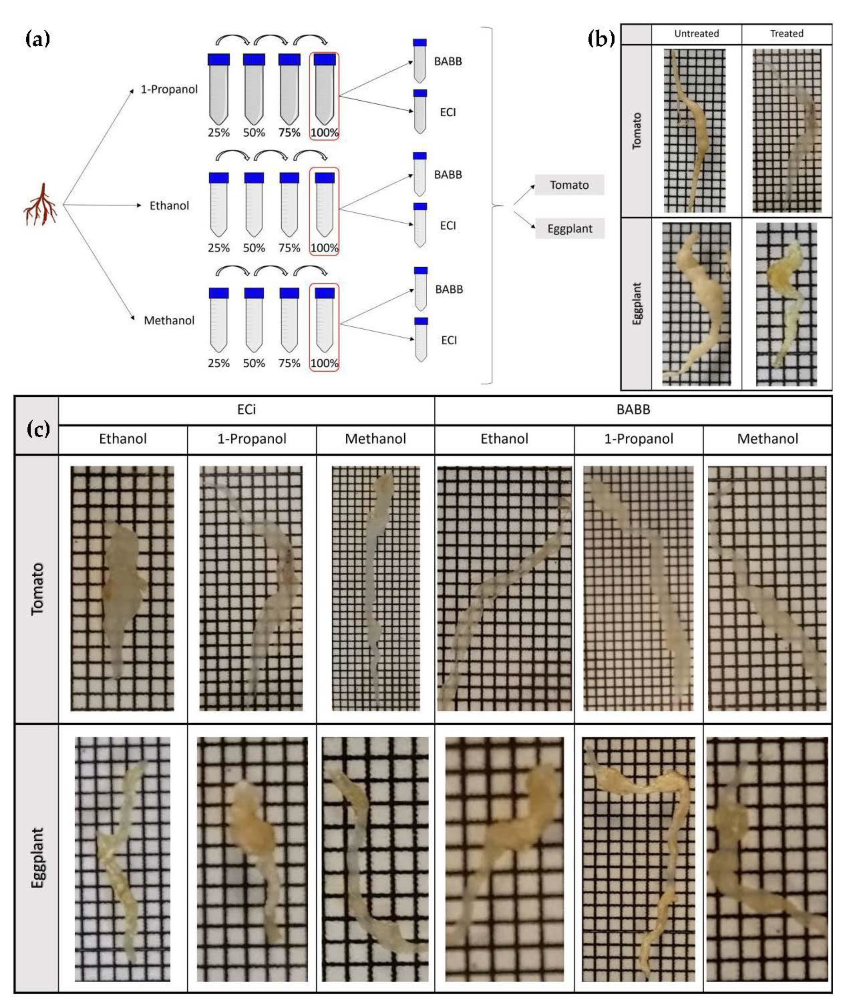 Plants 11 01165 g001