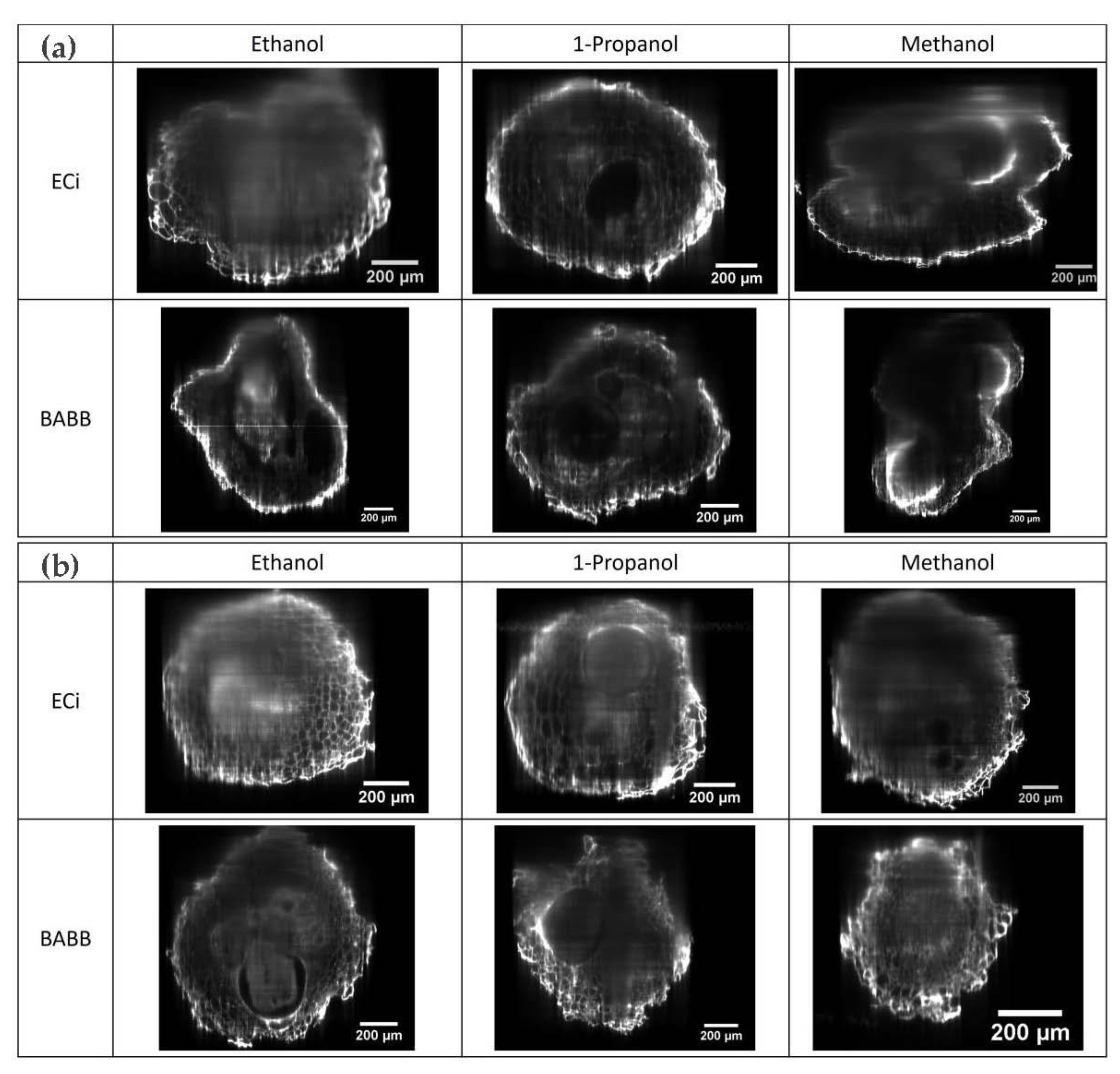 Plants 11 01165 g003