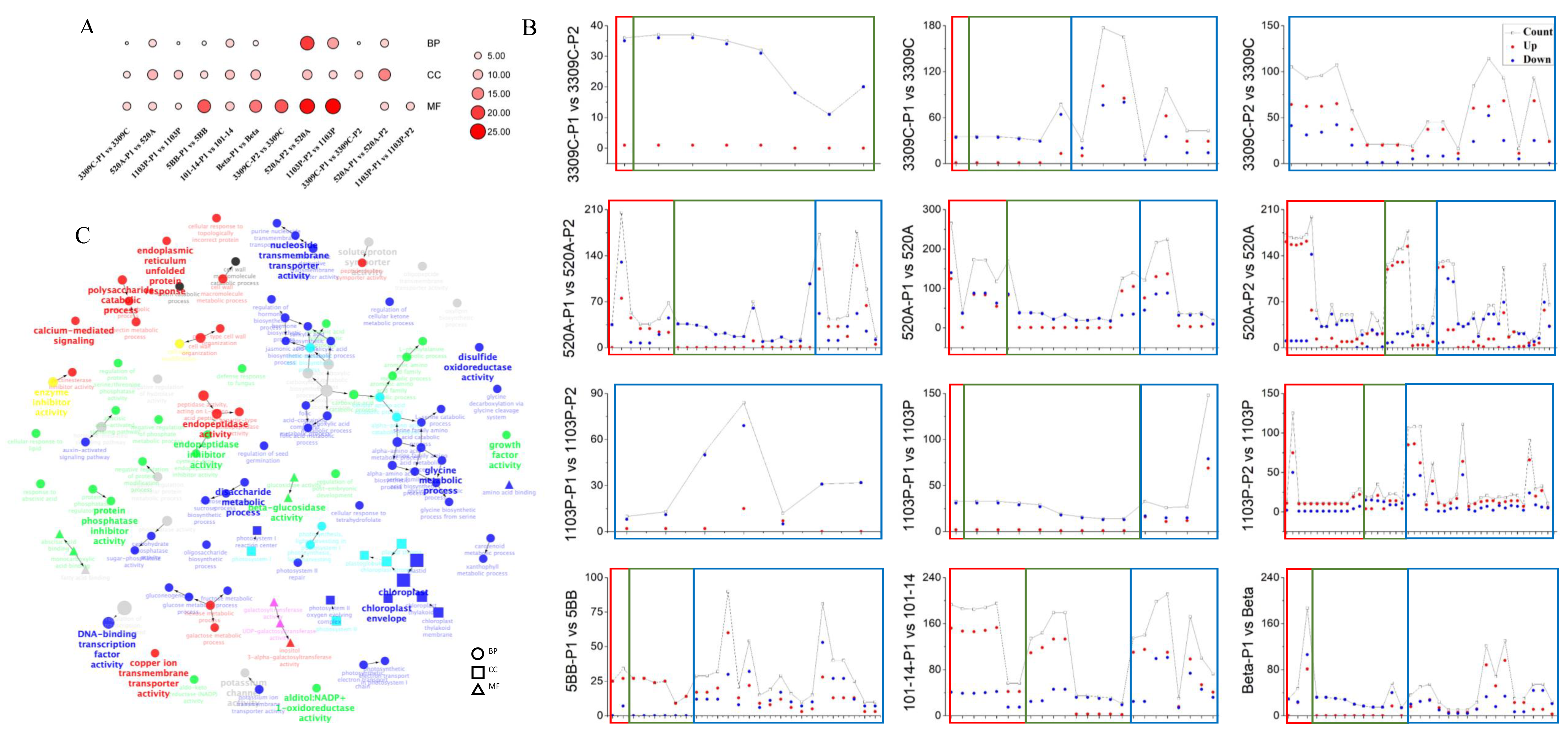 Plants 11 01167 g002 550