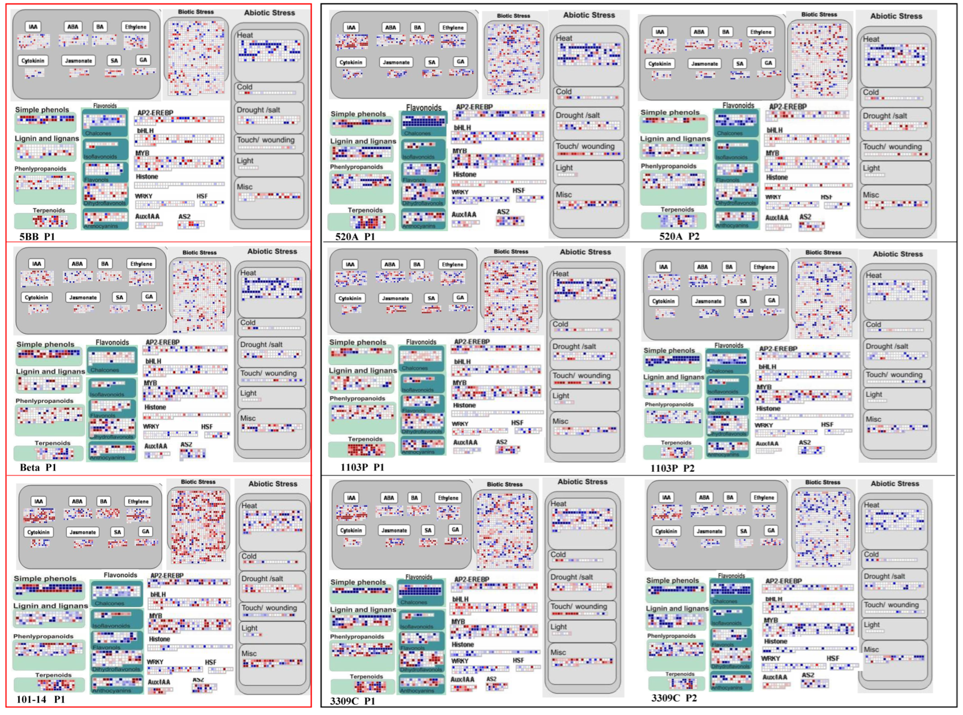 Plants 11 01167 g005 550