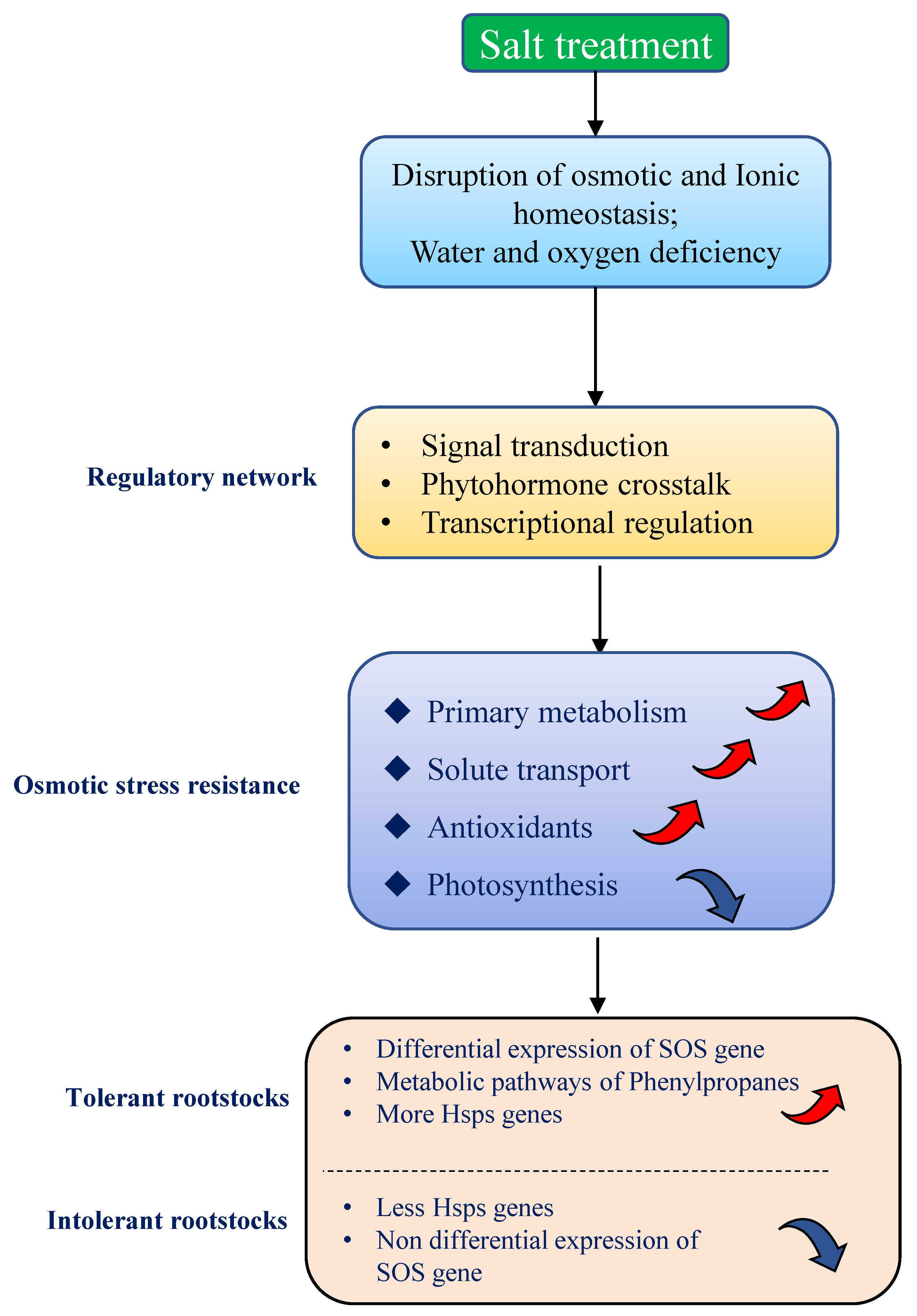 Plants 11 01167 g007 550