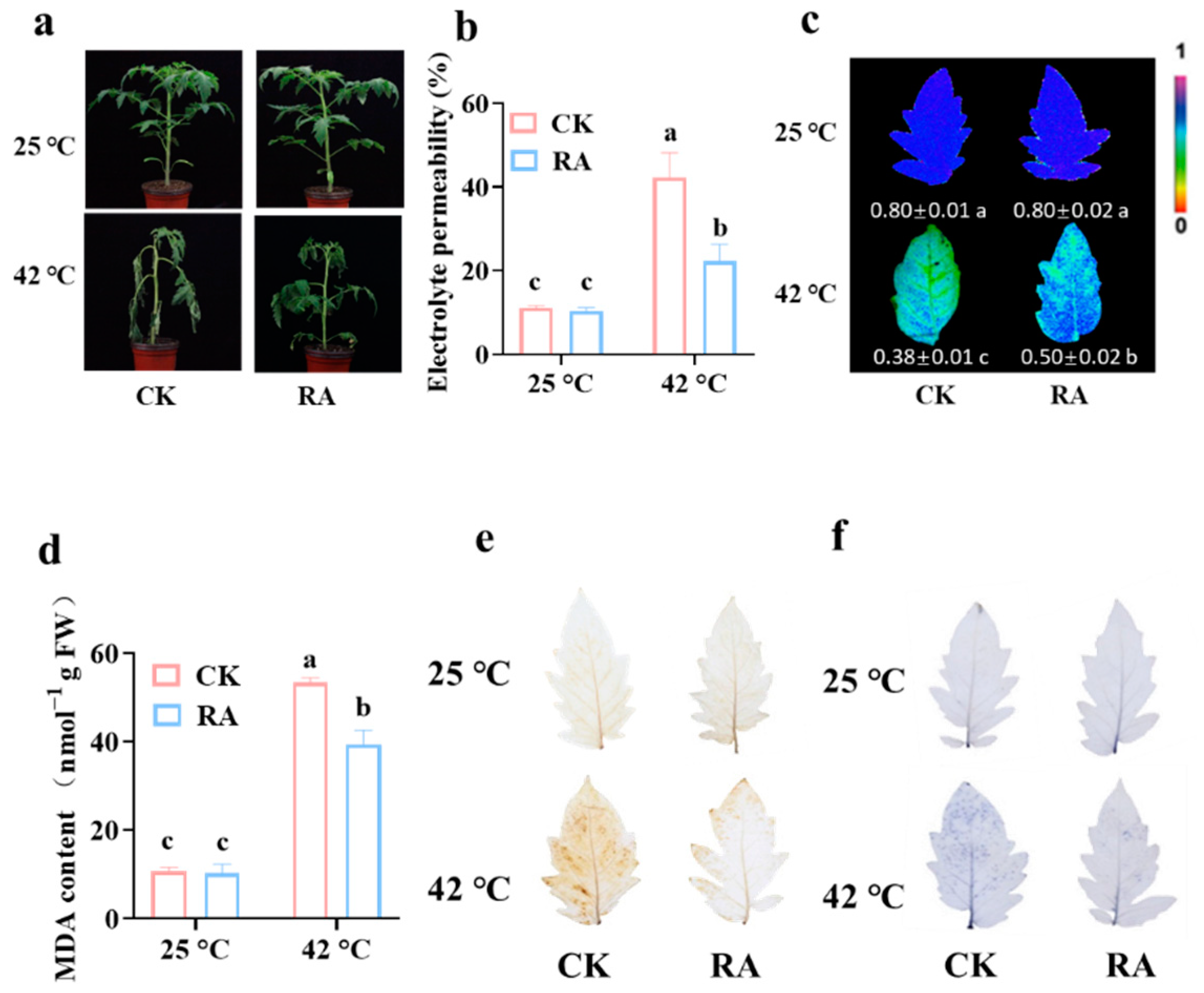 Plants 11 01172 g001