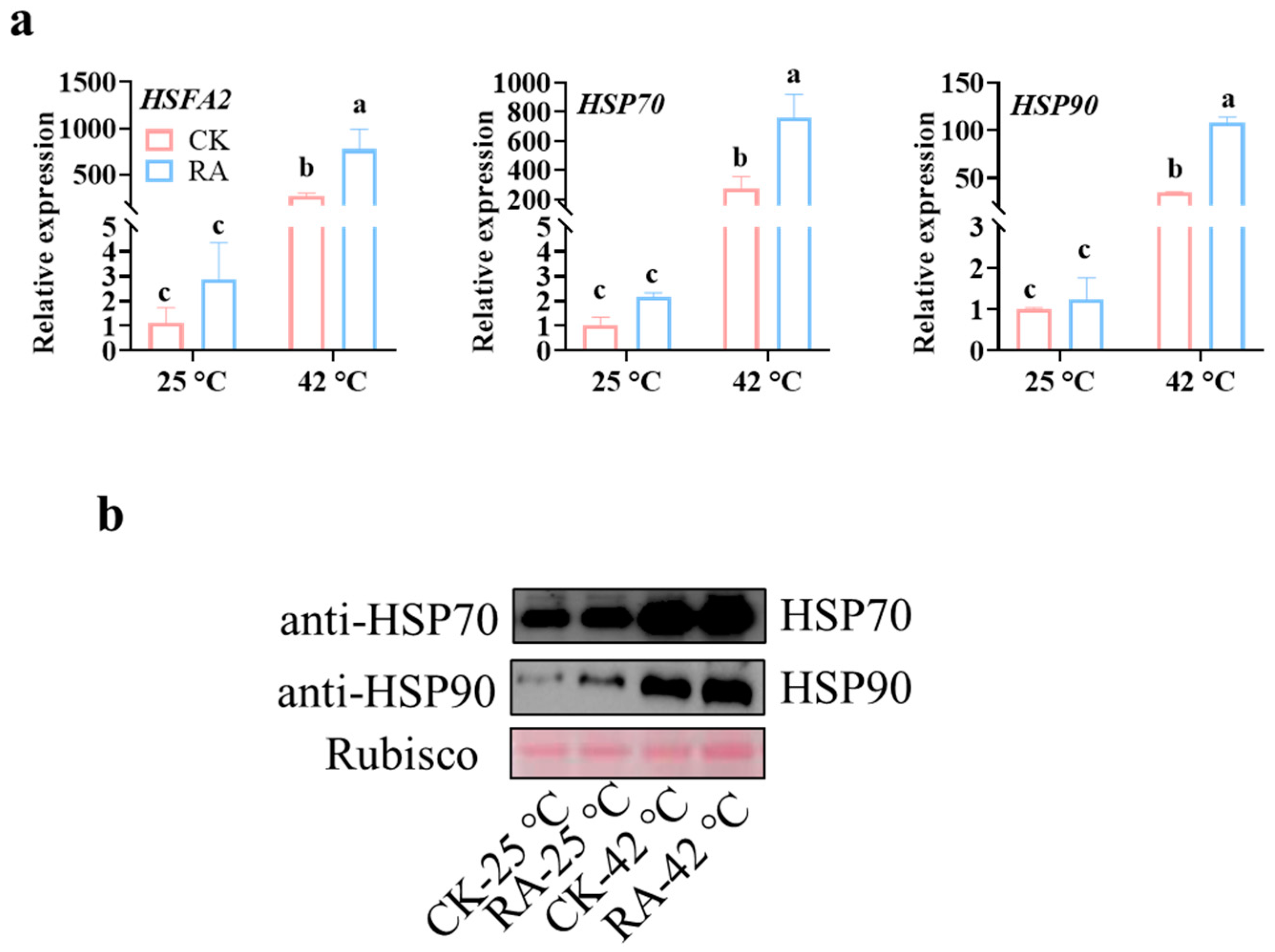 Plants 11 01172 g003