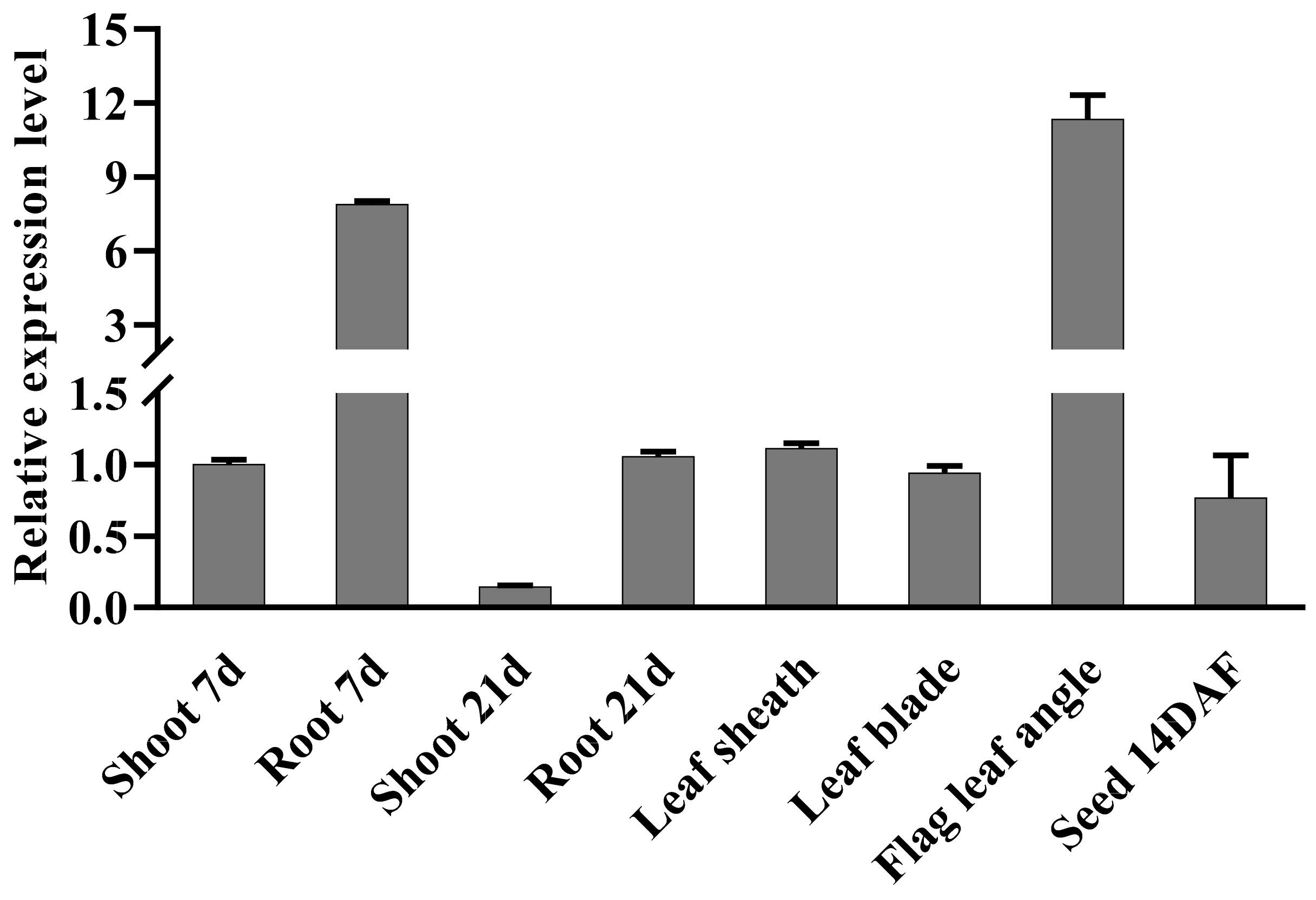 Plants 11 01184 g001