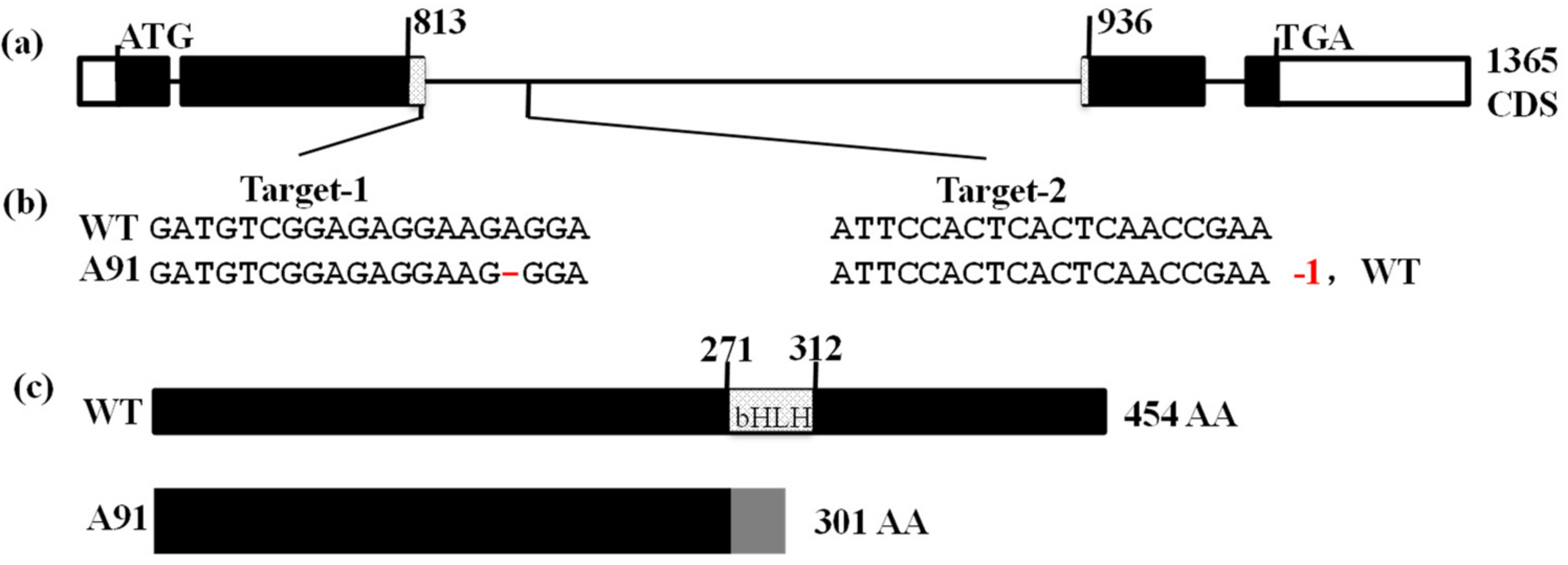 Plants 11 01184 g002