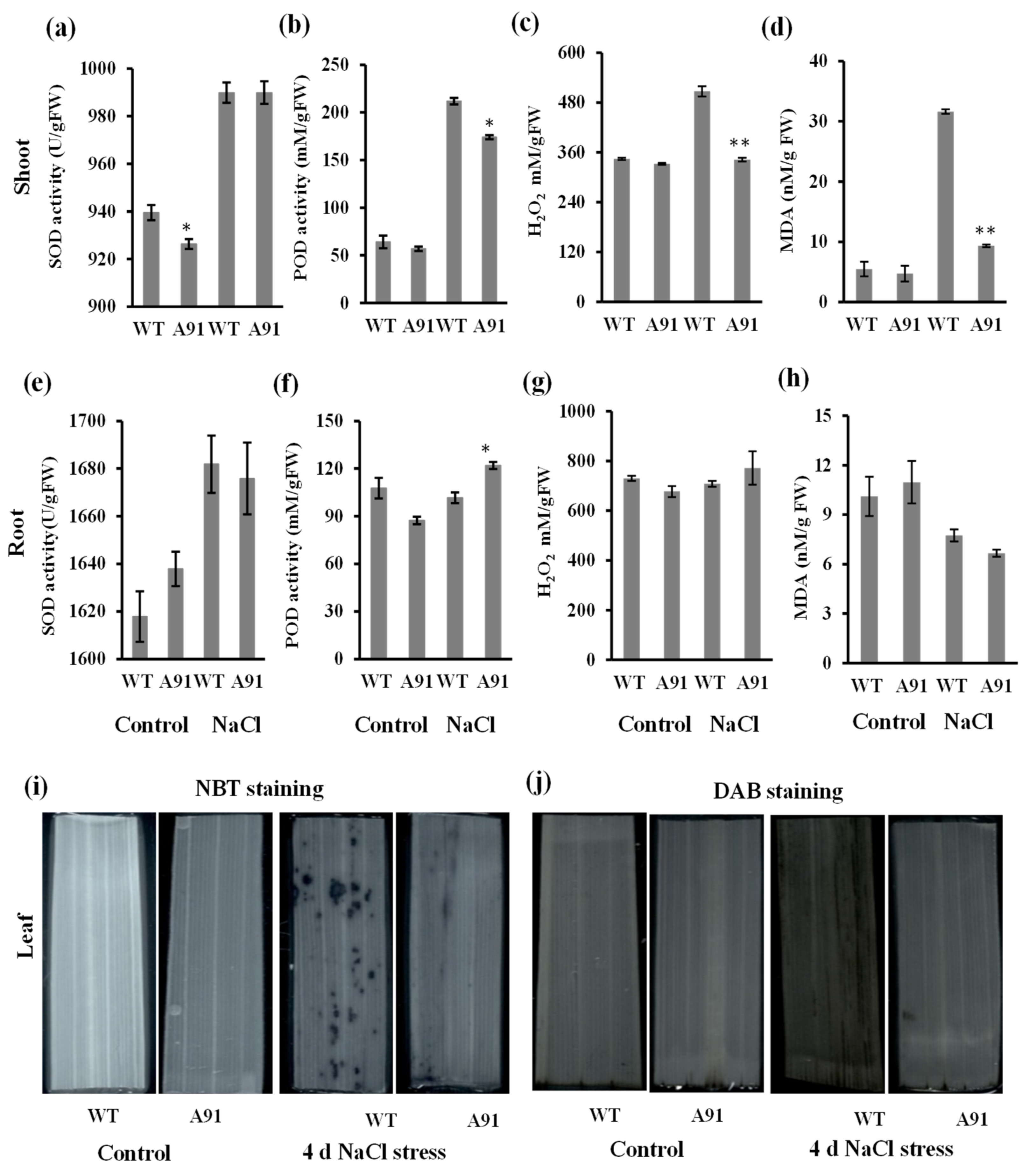 Plants 11 01184 g005