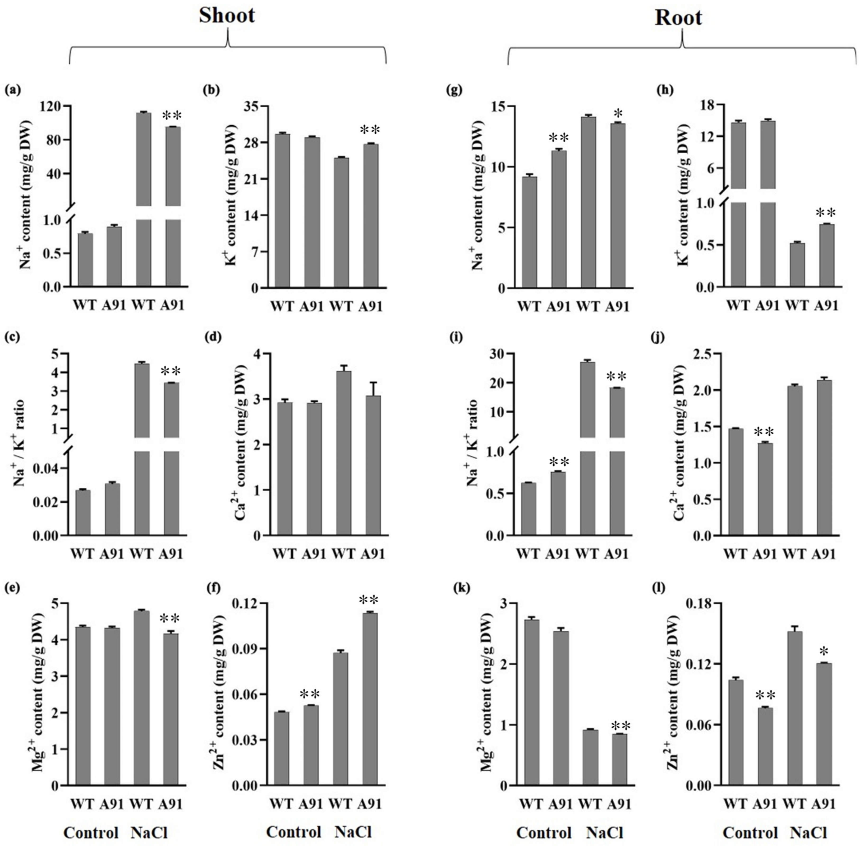 Plants 11 01184 g006
